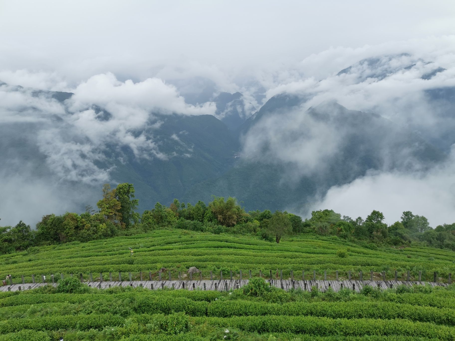 格林村观景台