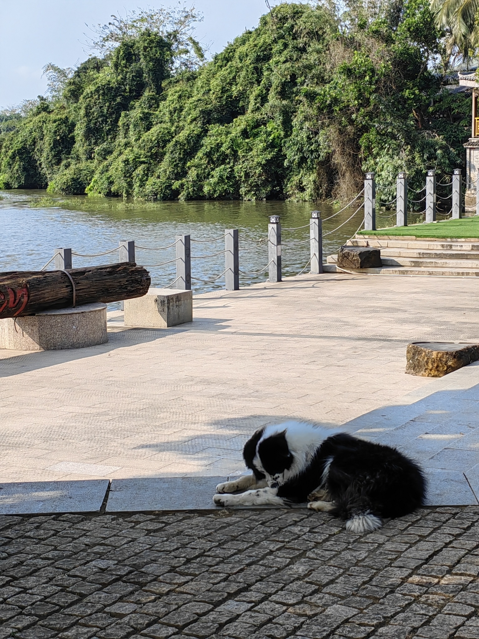 万泉河大院