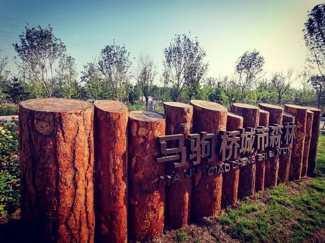 马驹桥城市森林旅行图片 1