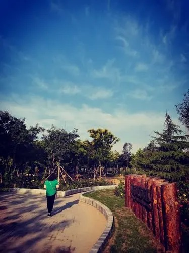 马驹桥城市森林旅行图片 2