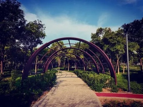 马驹桥城市森林旅行图片 3
