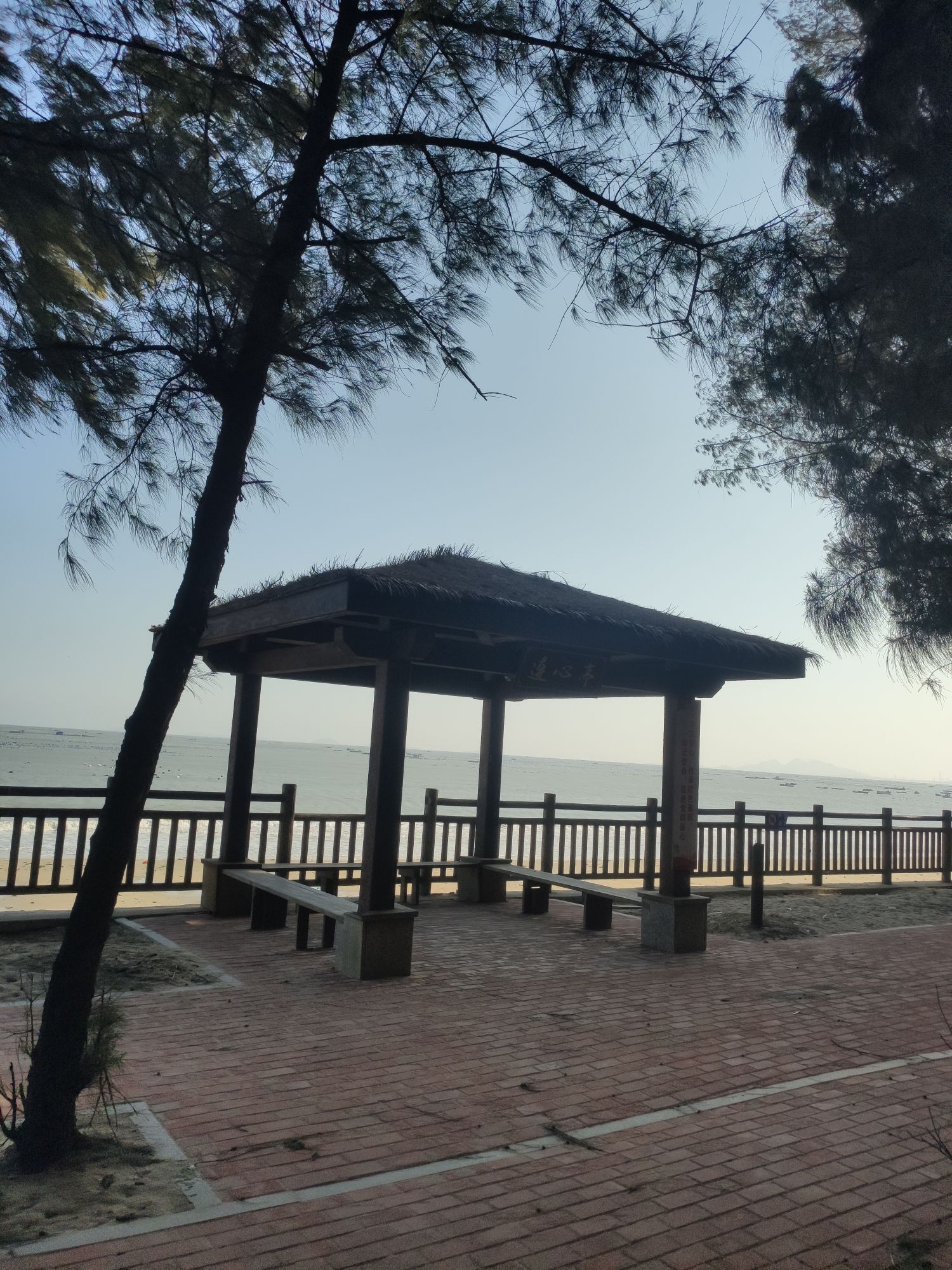 浮头湾旅行图片 1