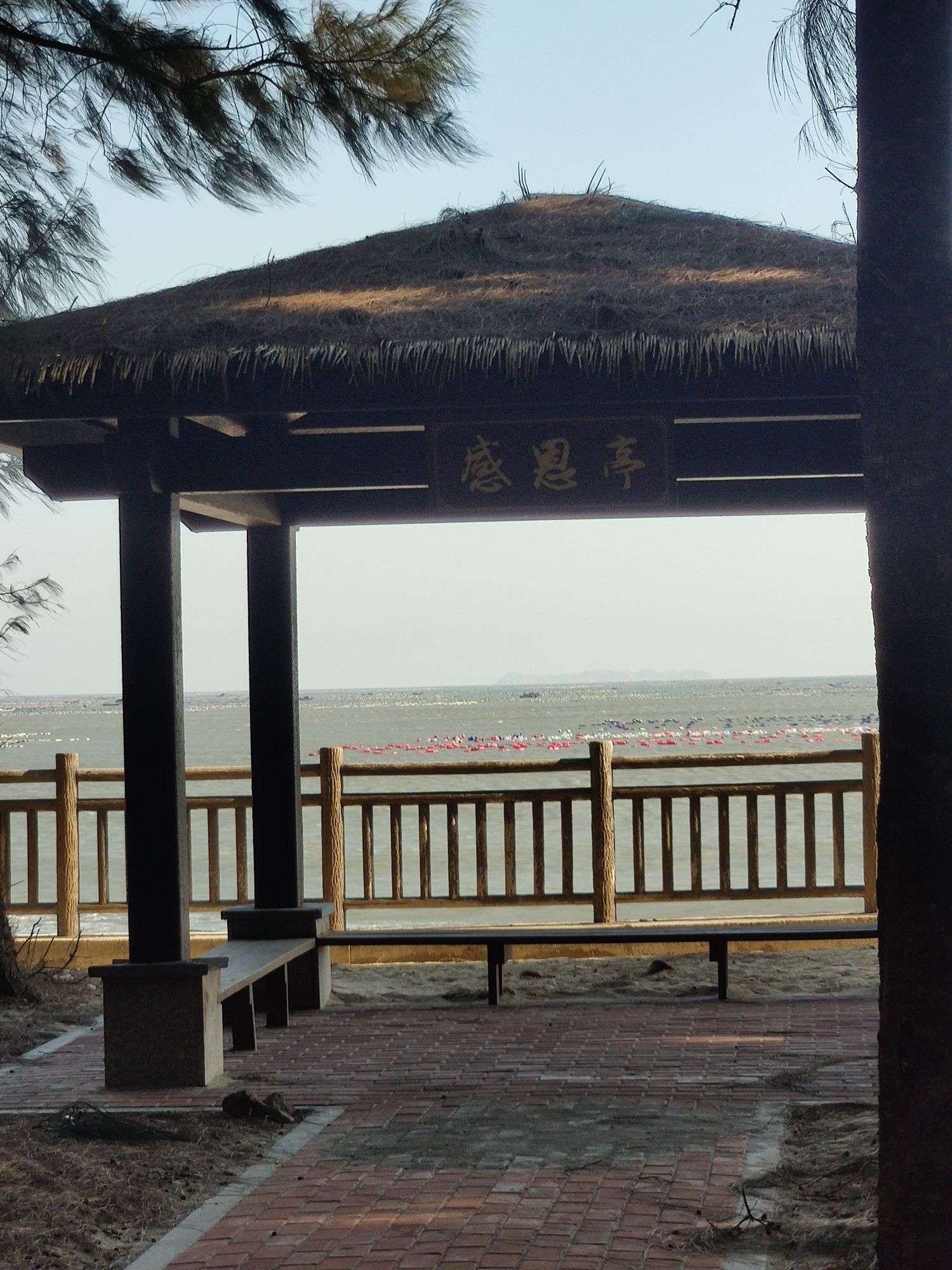浮头湾旅行图片 3
