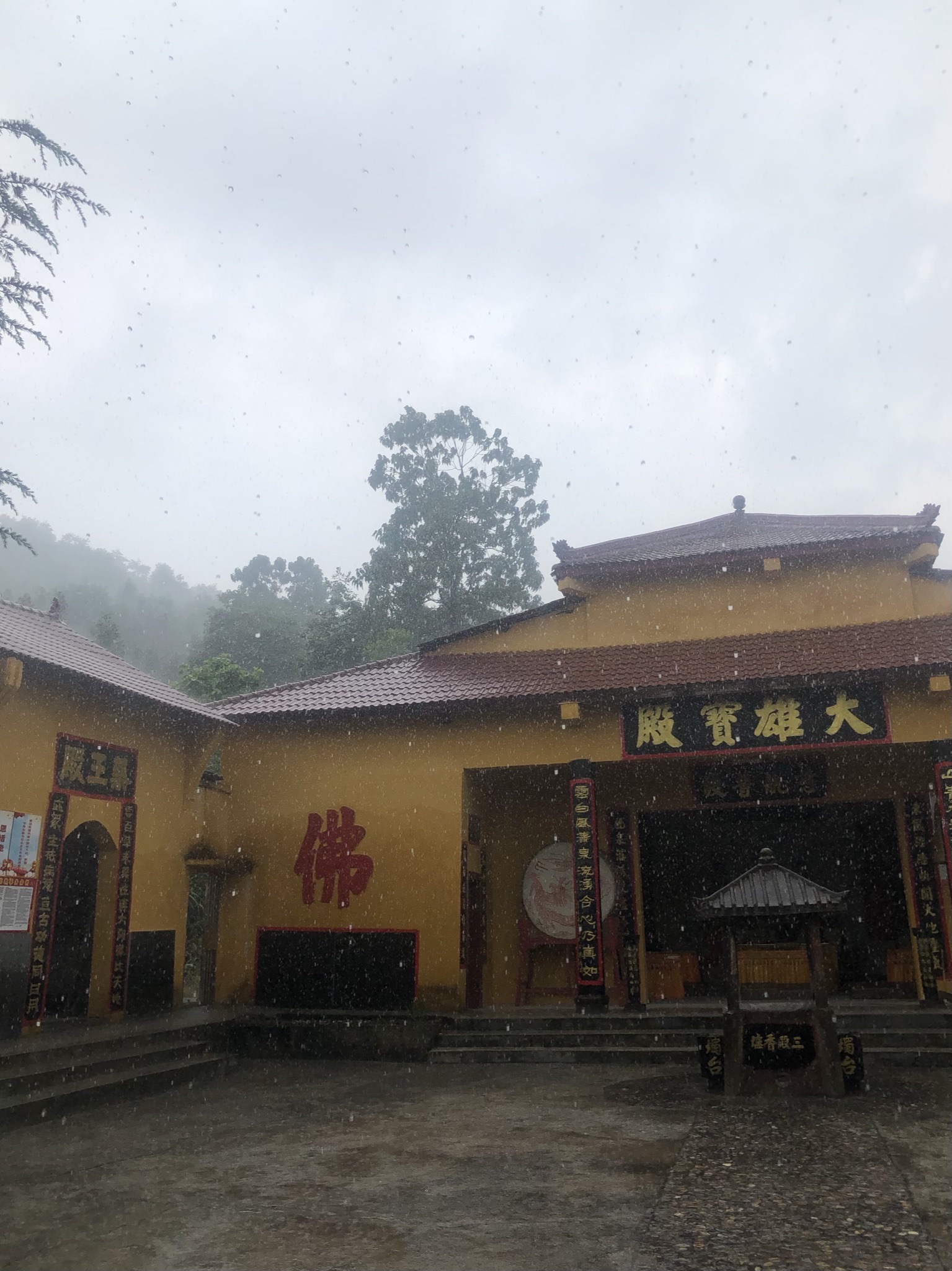 龙泉庵旅行图片 1