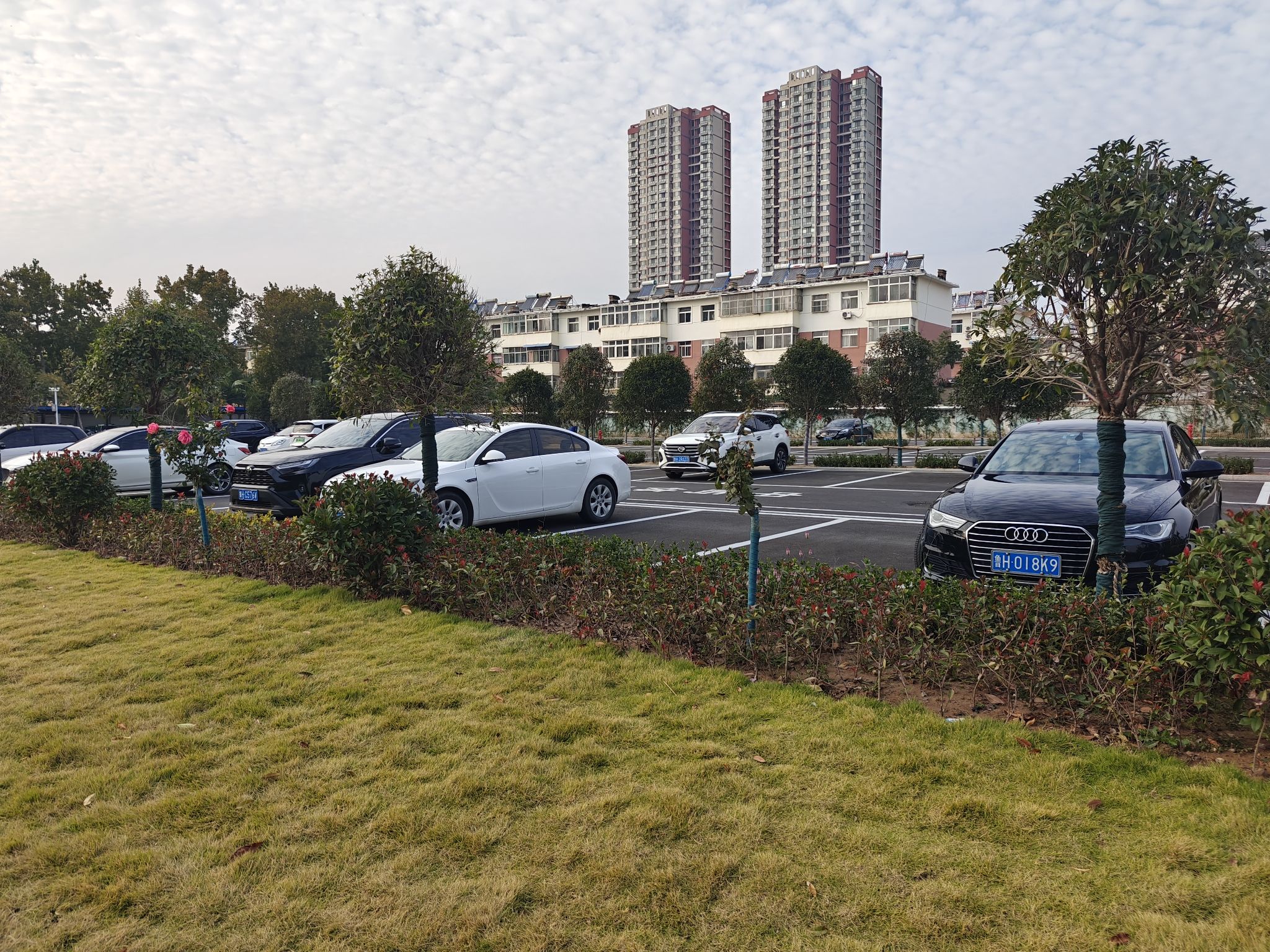 中屿体育公园旅行图片 3