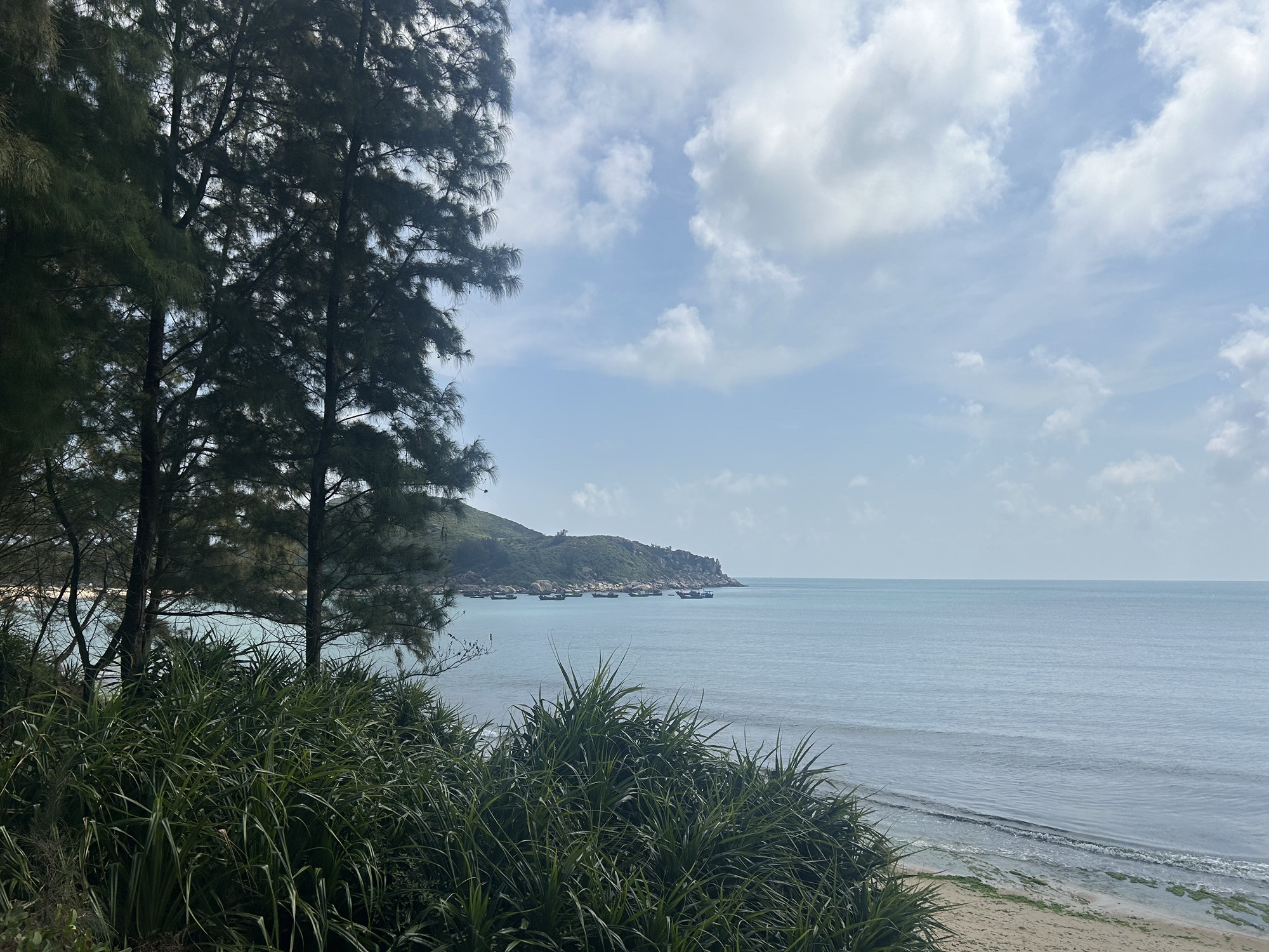 峰峦叠翠观景台