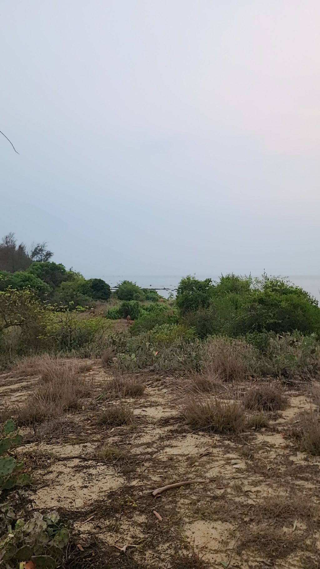 田园海风观景台