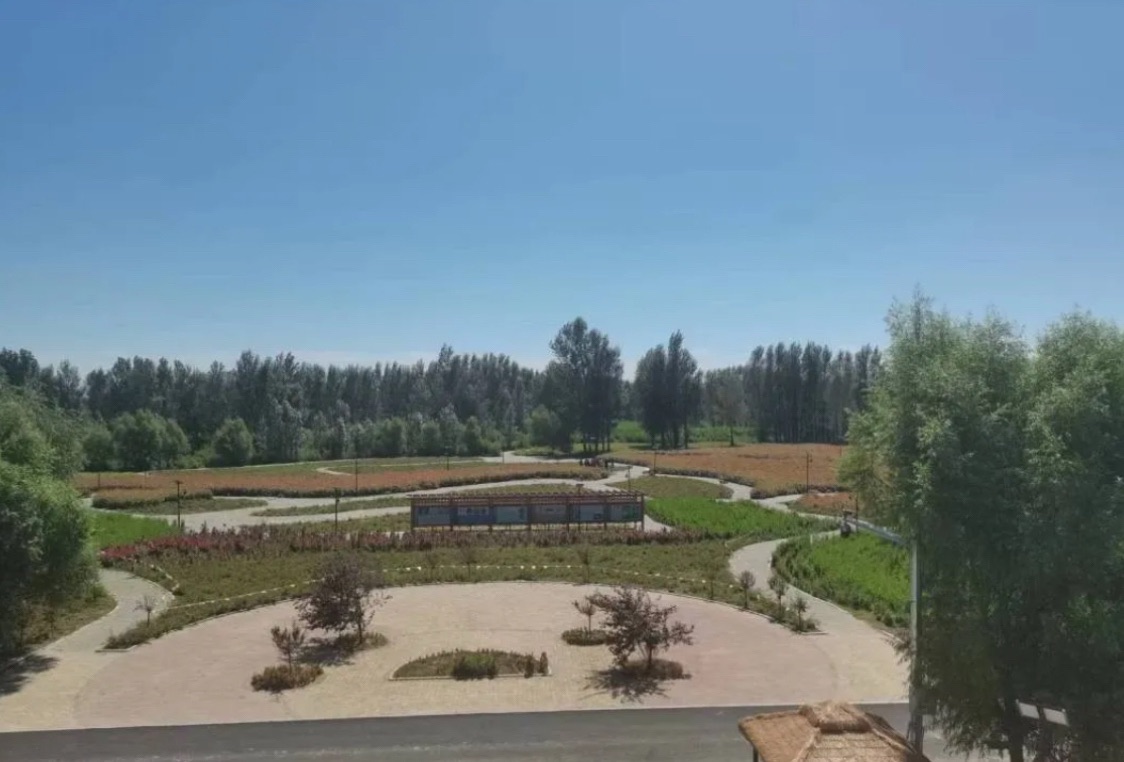 昌图县湿地公园旅行图片 3