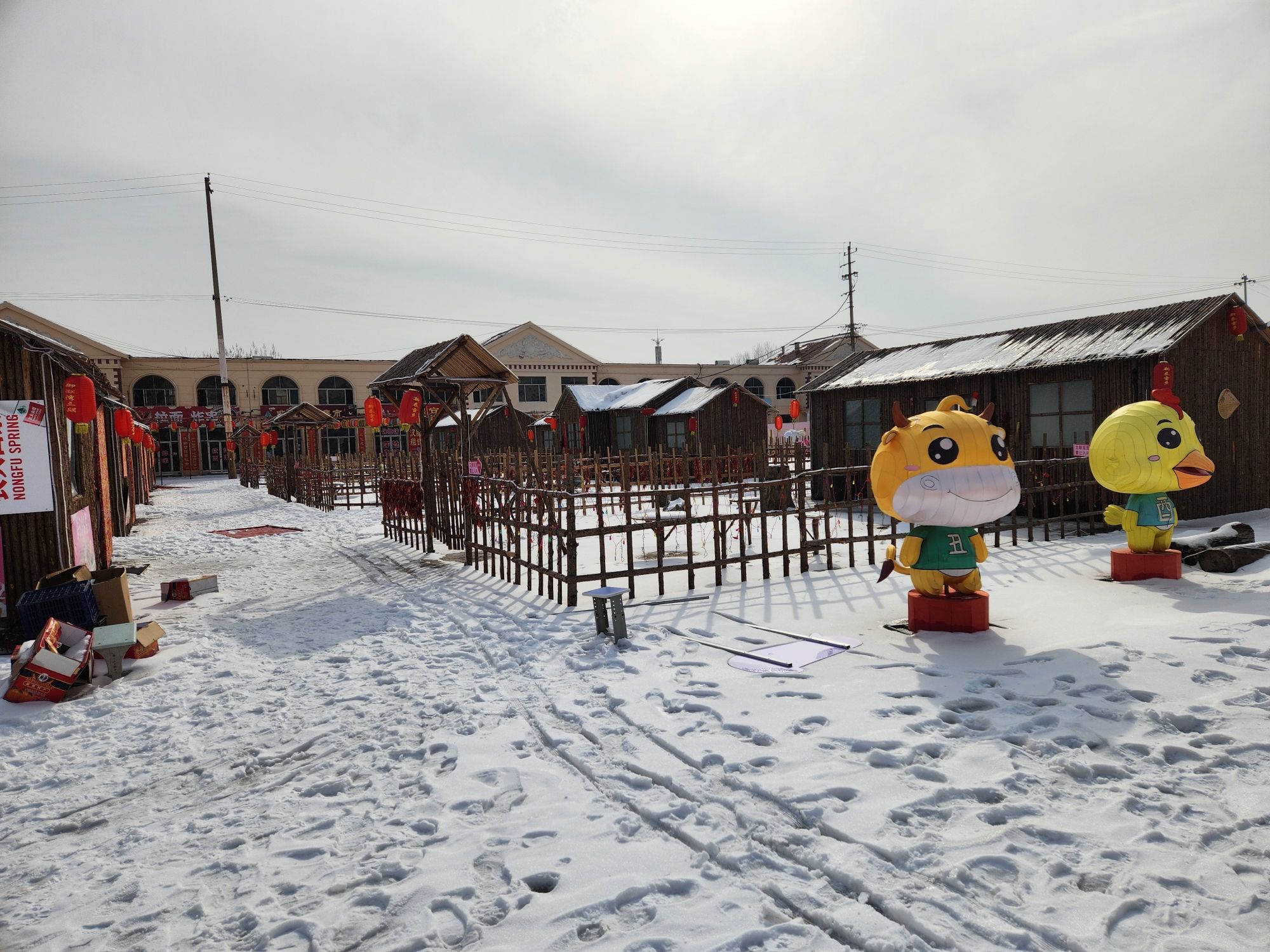 新泰雪乡旅行图片 1