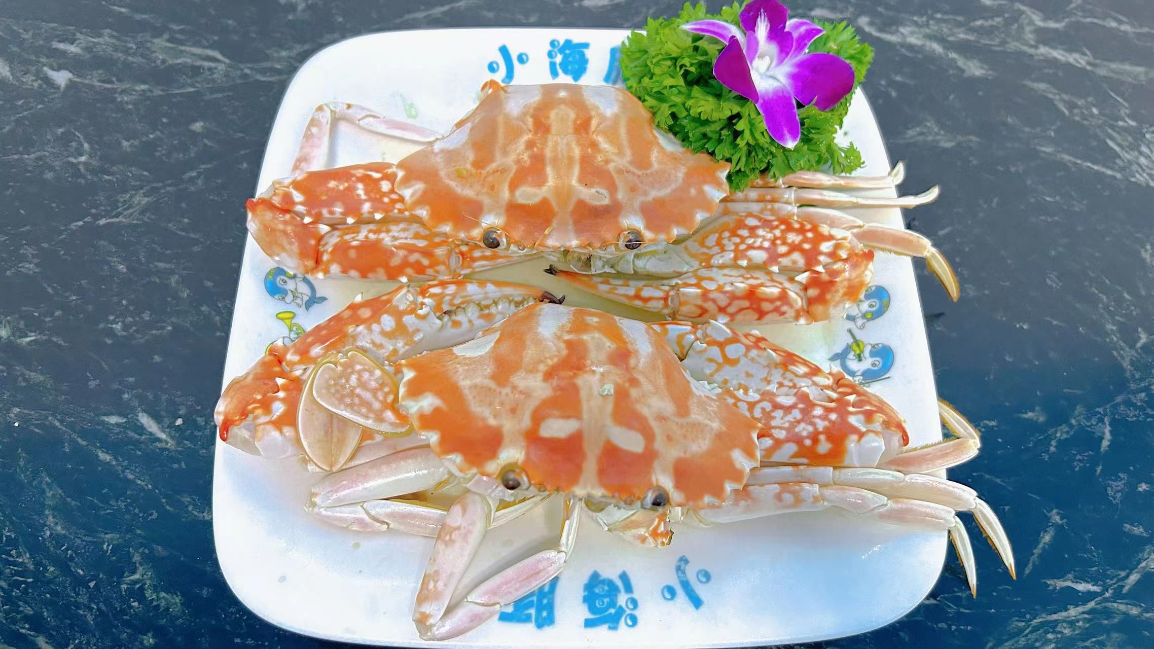 小海豚海鲜广场(清水湾店)