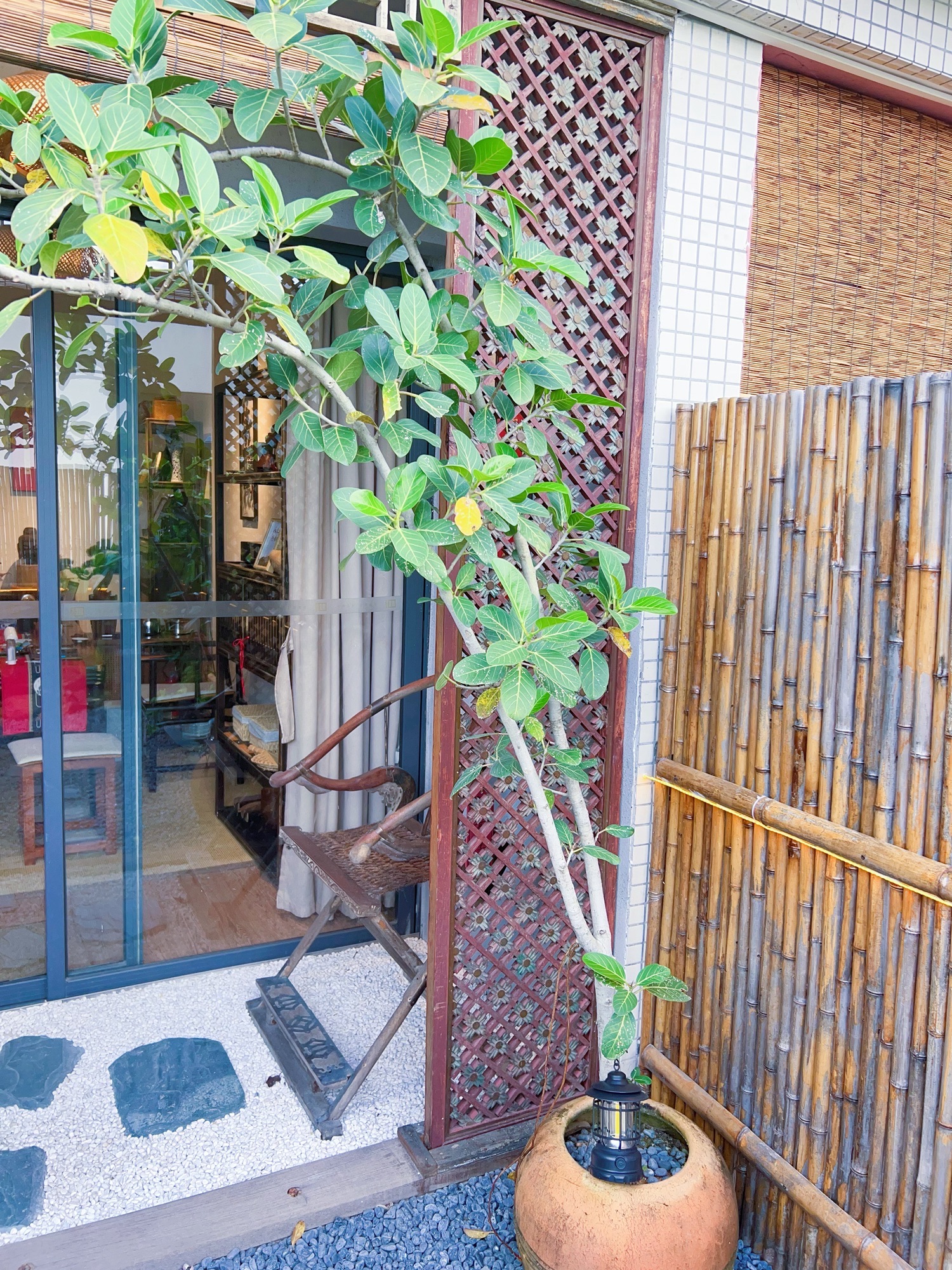 场地封面-就近喝茶(天安茶院店)