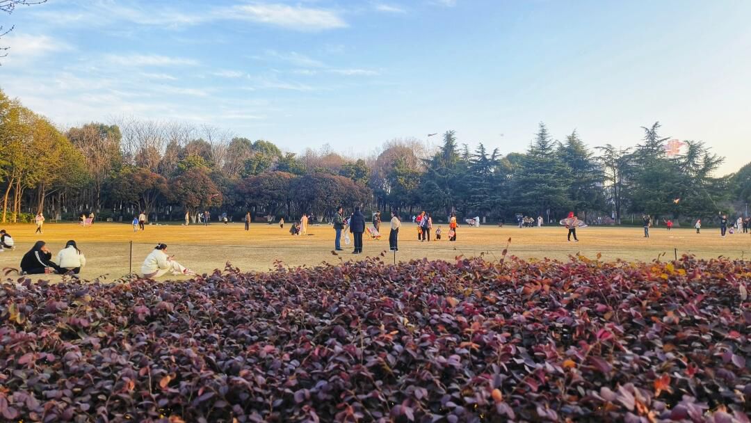 大运河油罐公园旅行图片 1