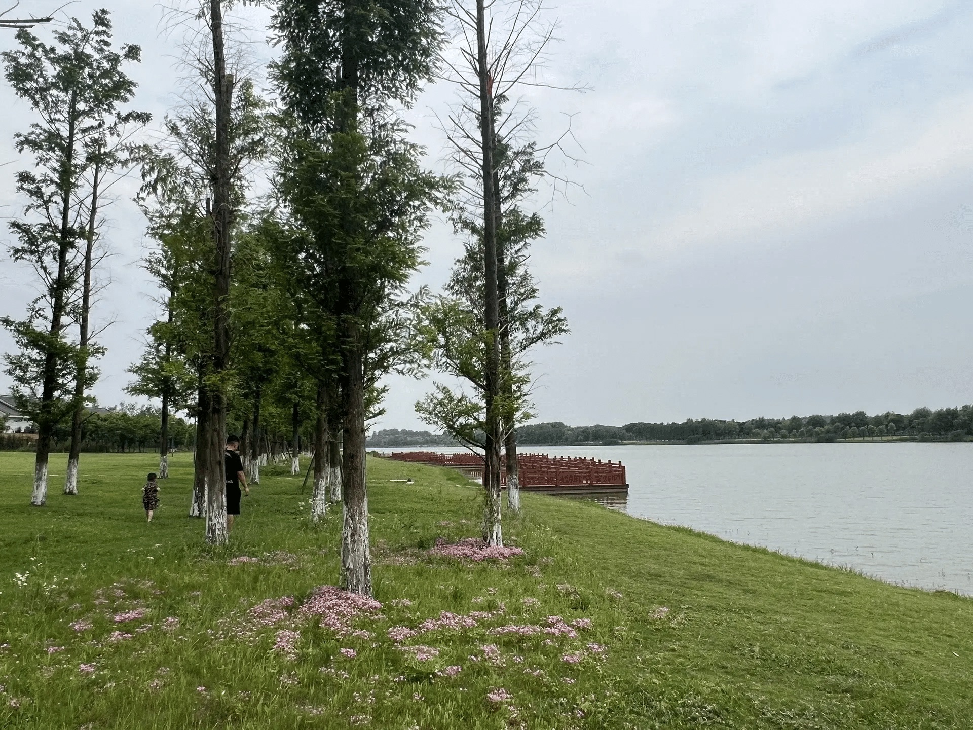 西洞庭沙河公园旅行图片 1