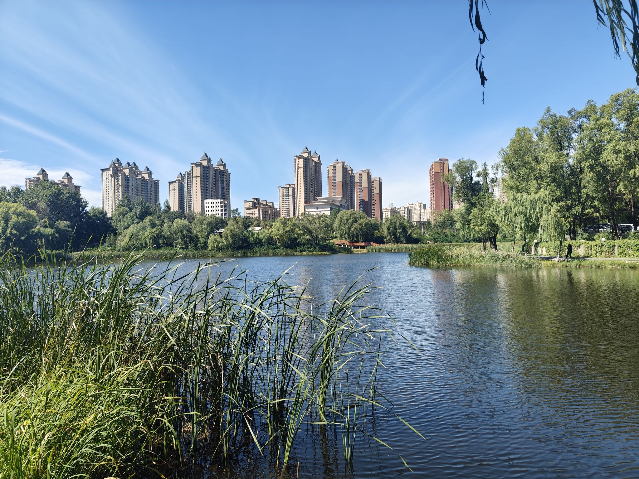 博文湖公园旅行图片 2