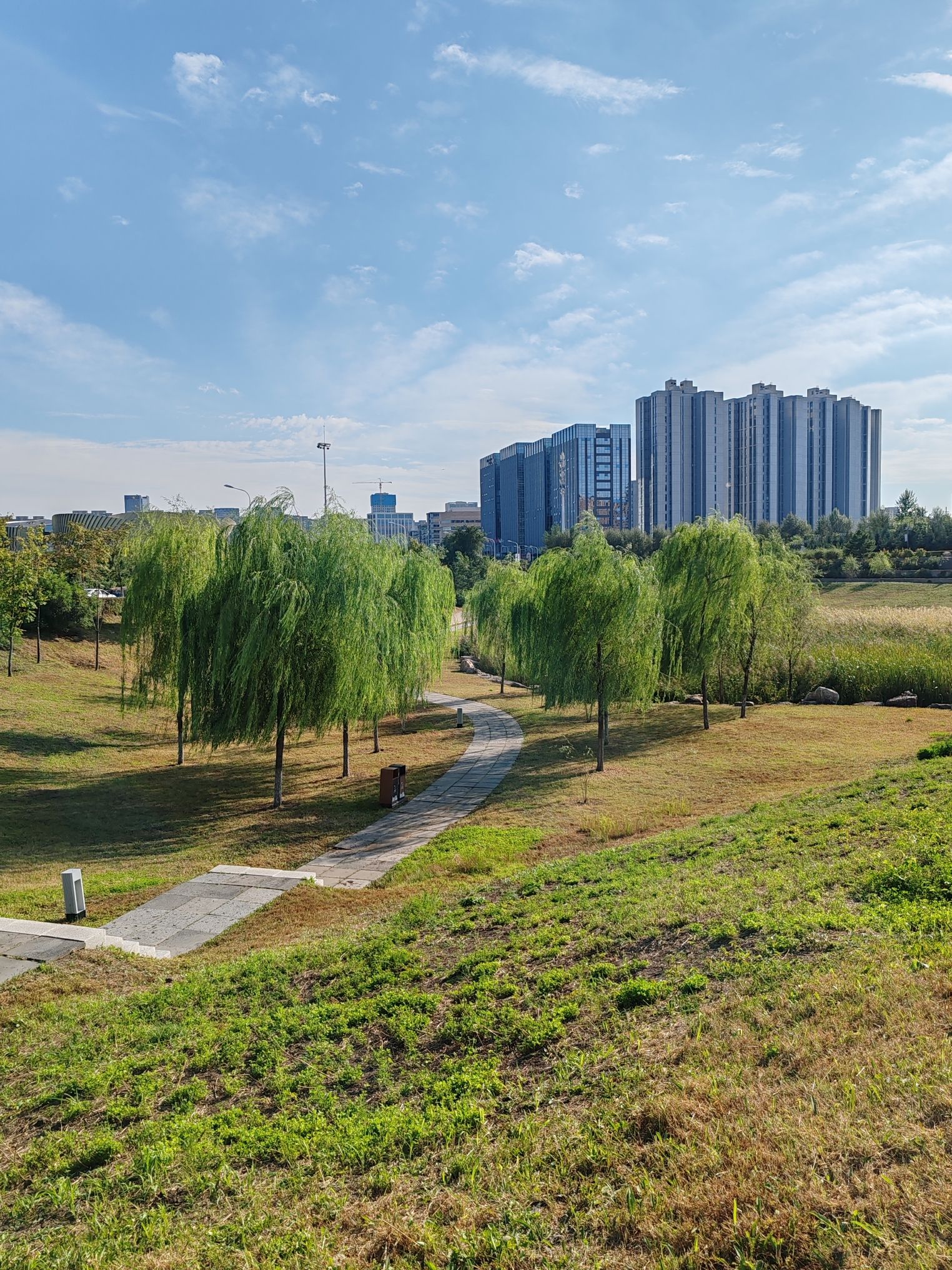 博文湖公园旅行图片 1