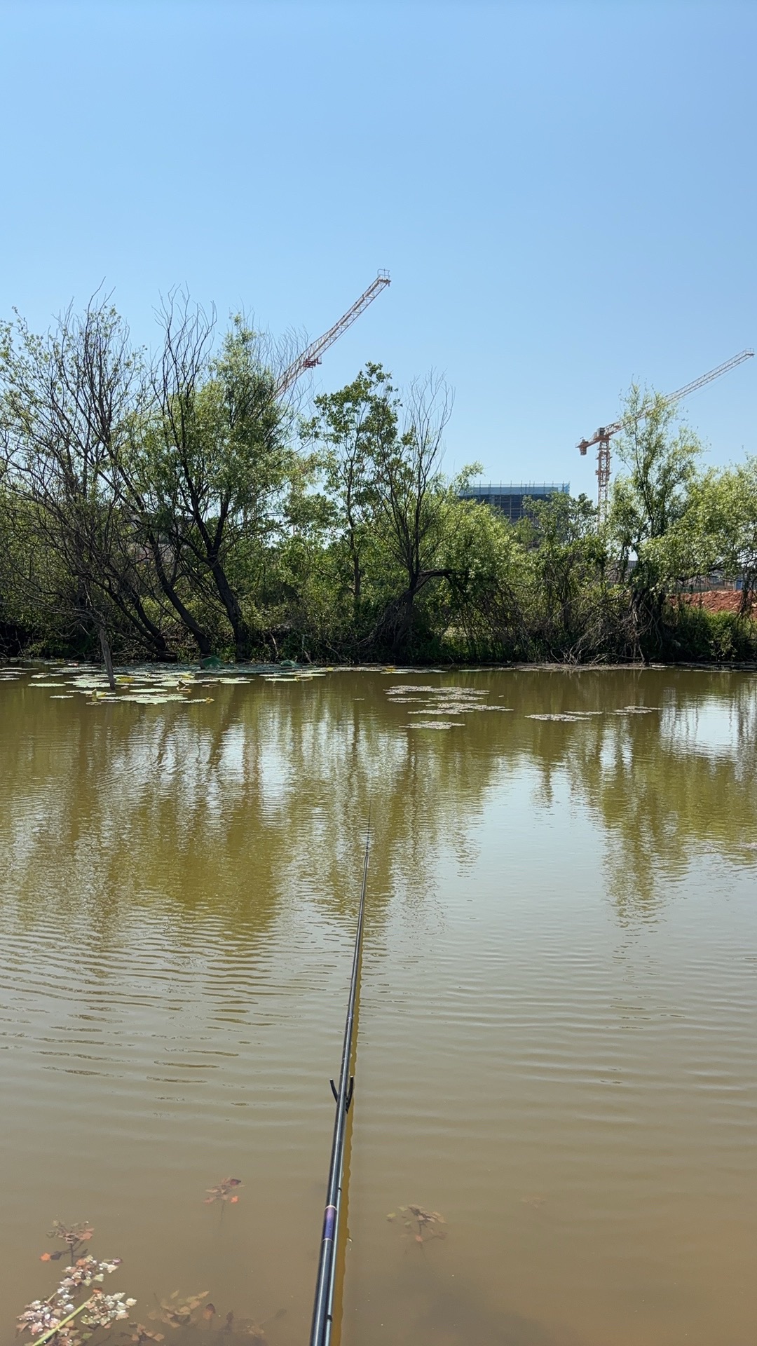 场地封面-武汉市最童年生态农场垂钓园