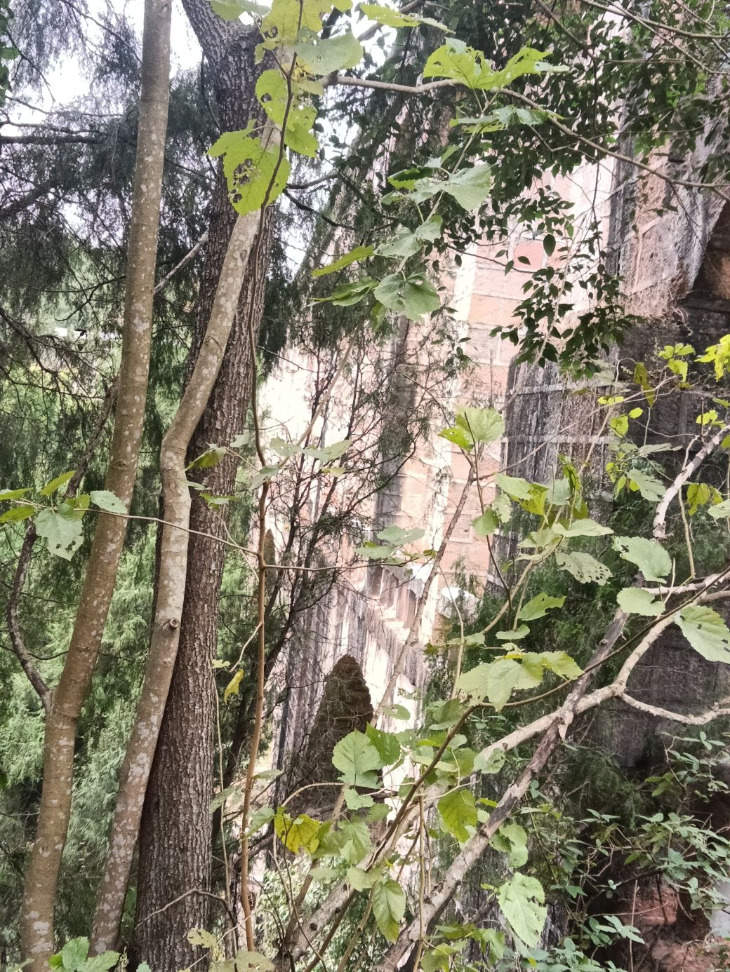 铁脚寨人民渠旅行图片 3
