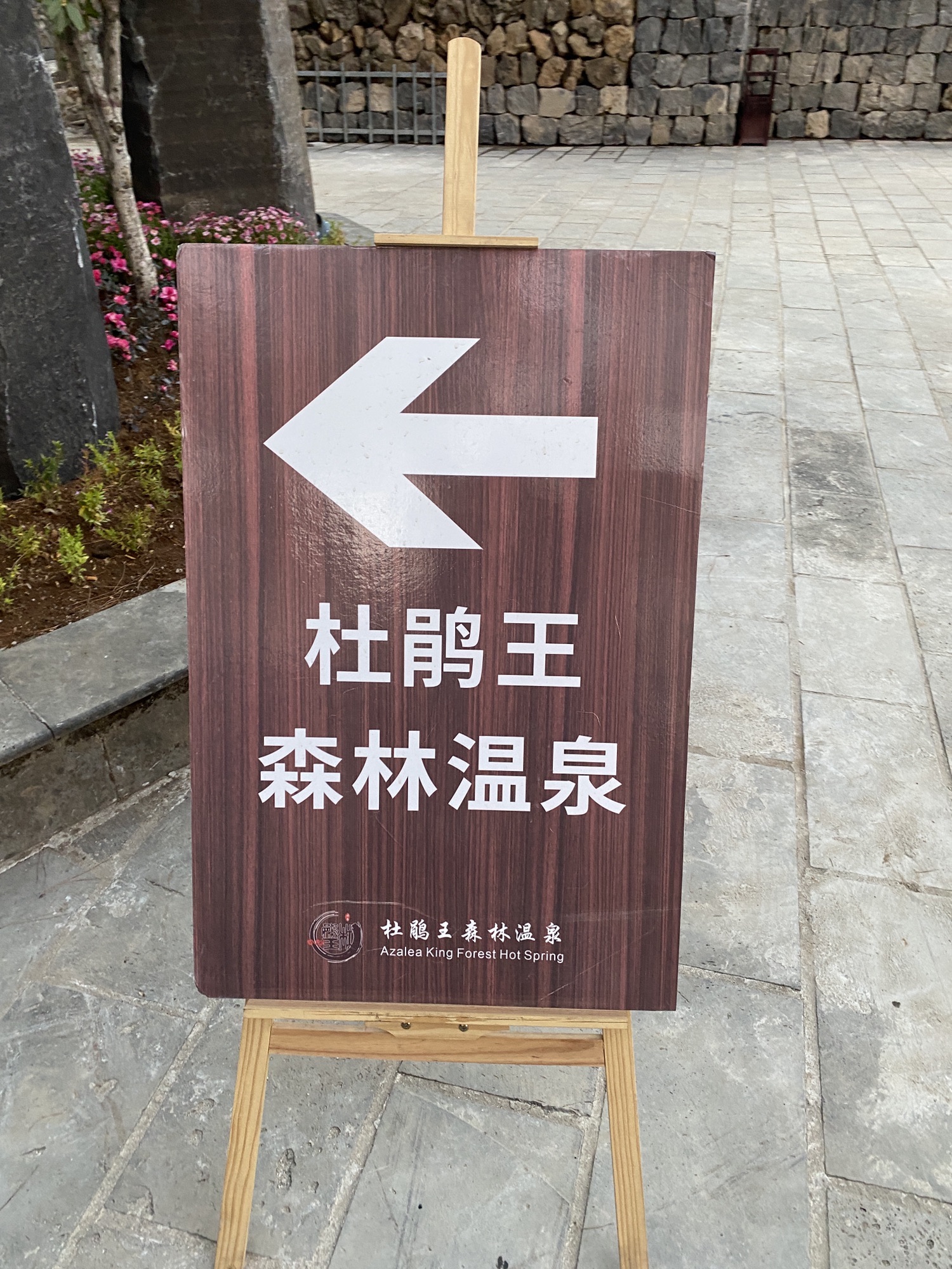 杜鹃王森林温泉(和顺古镇店)