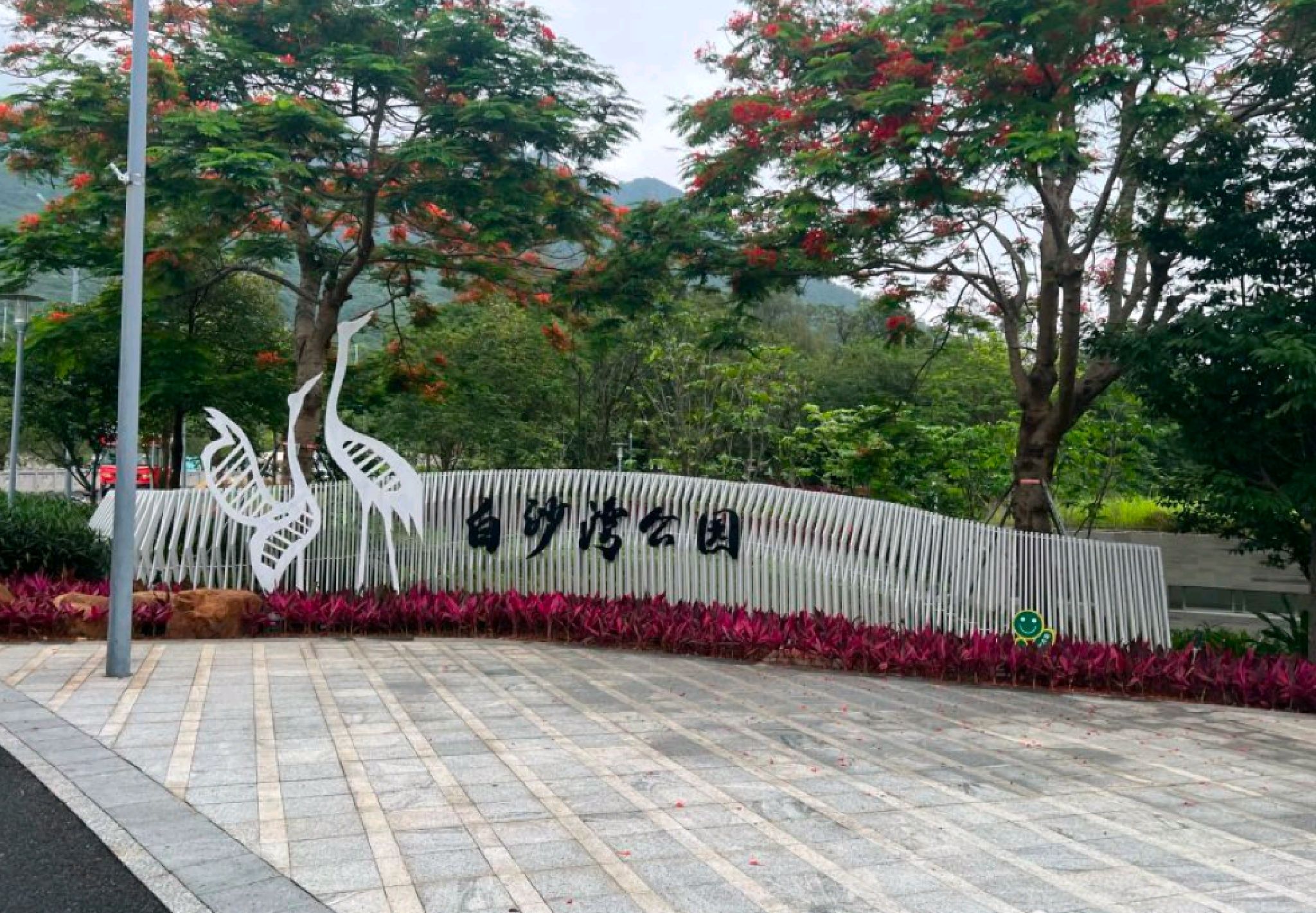 白沙湾公园露营地