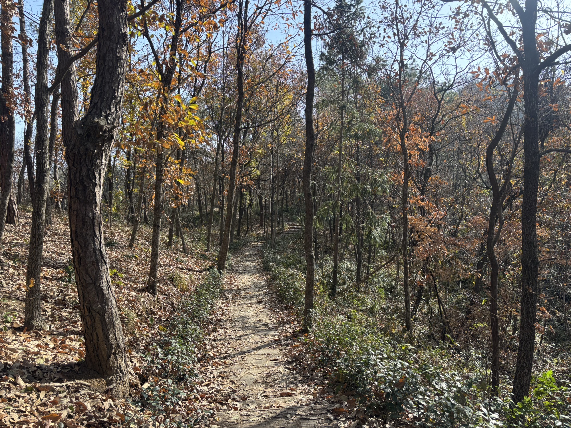贤山公园旅行图片 2