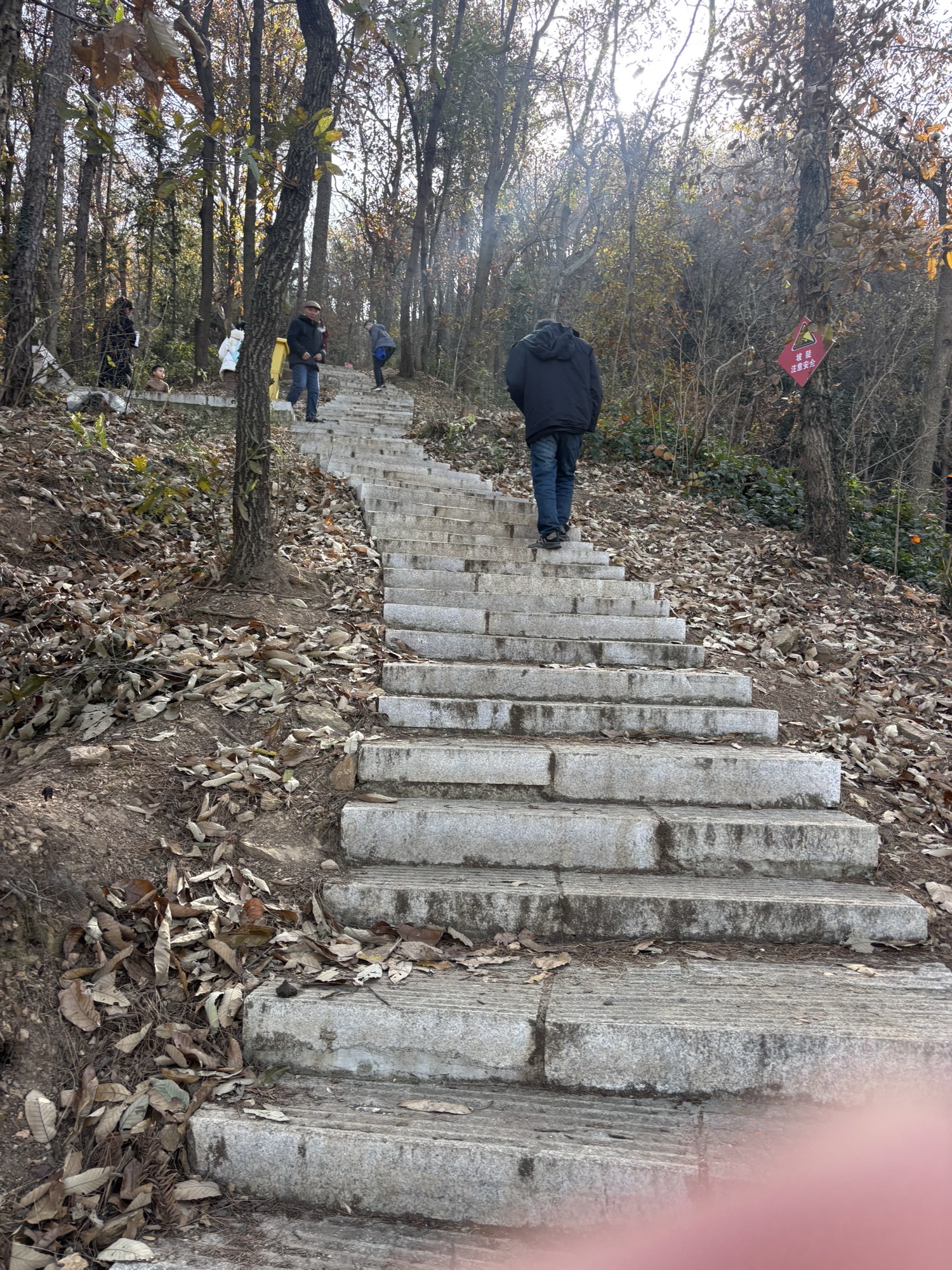贤山公园旅行图片 3