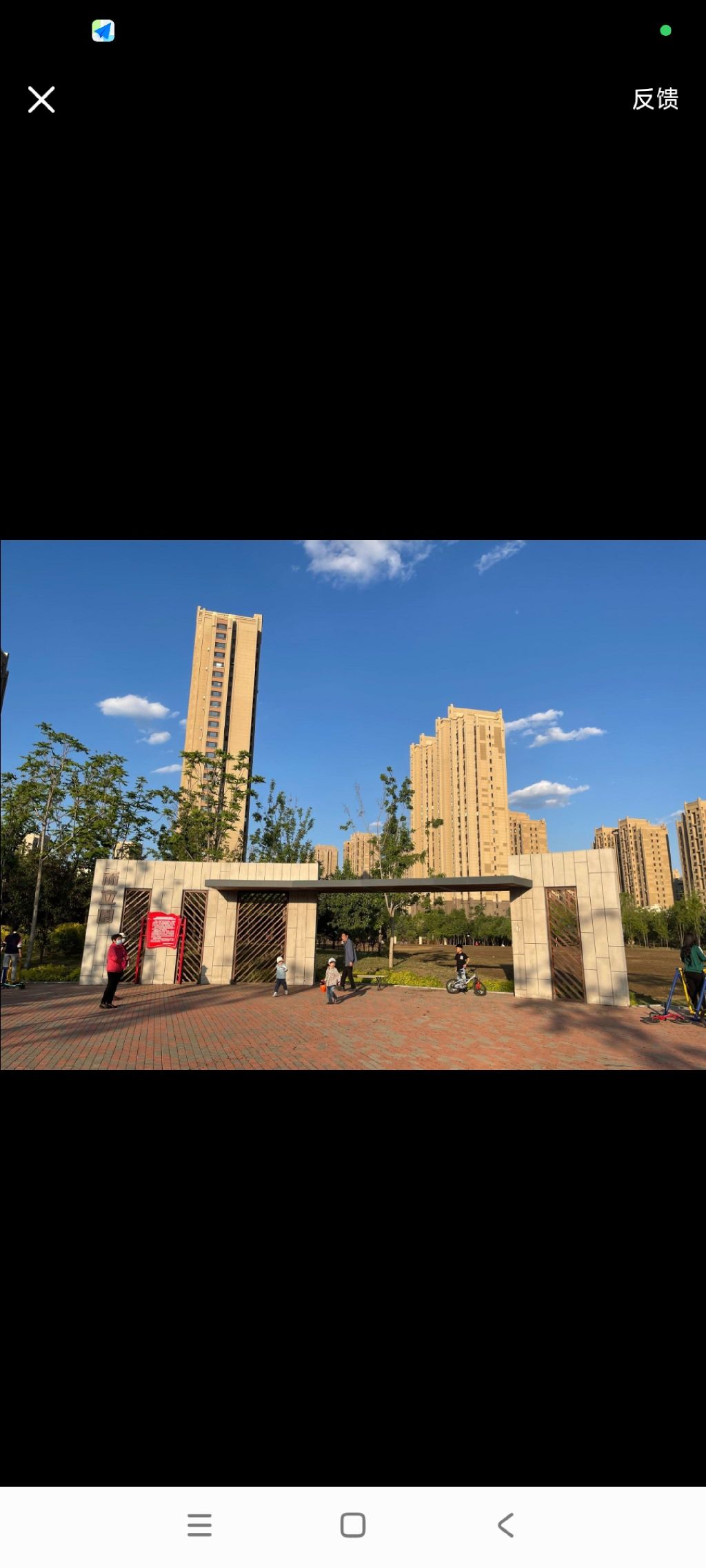 跃兴公园旅行图片 1