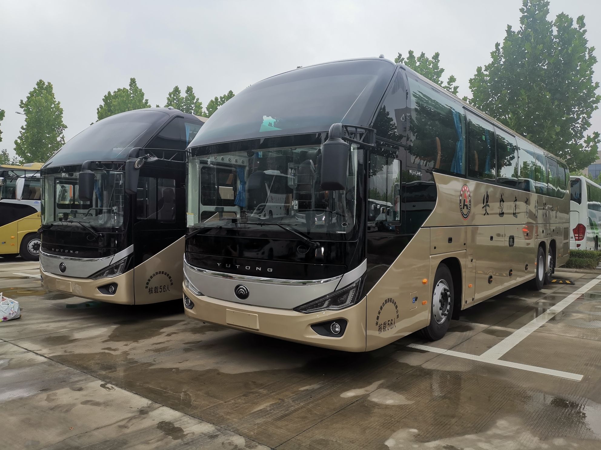 淮南盛途旅游客运有限公司