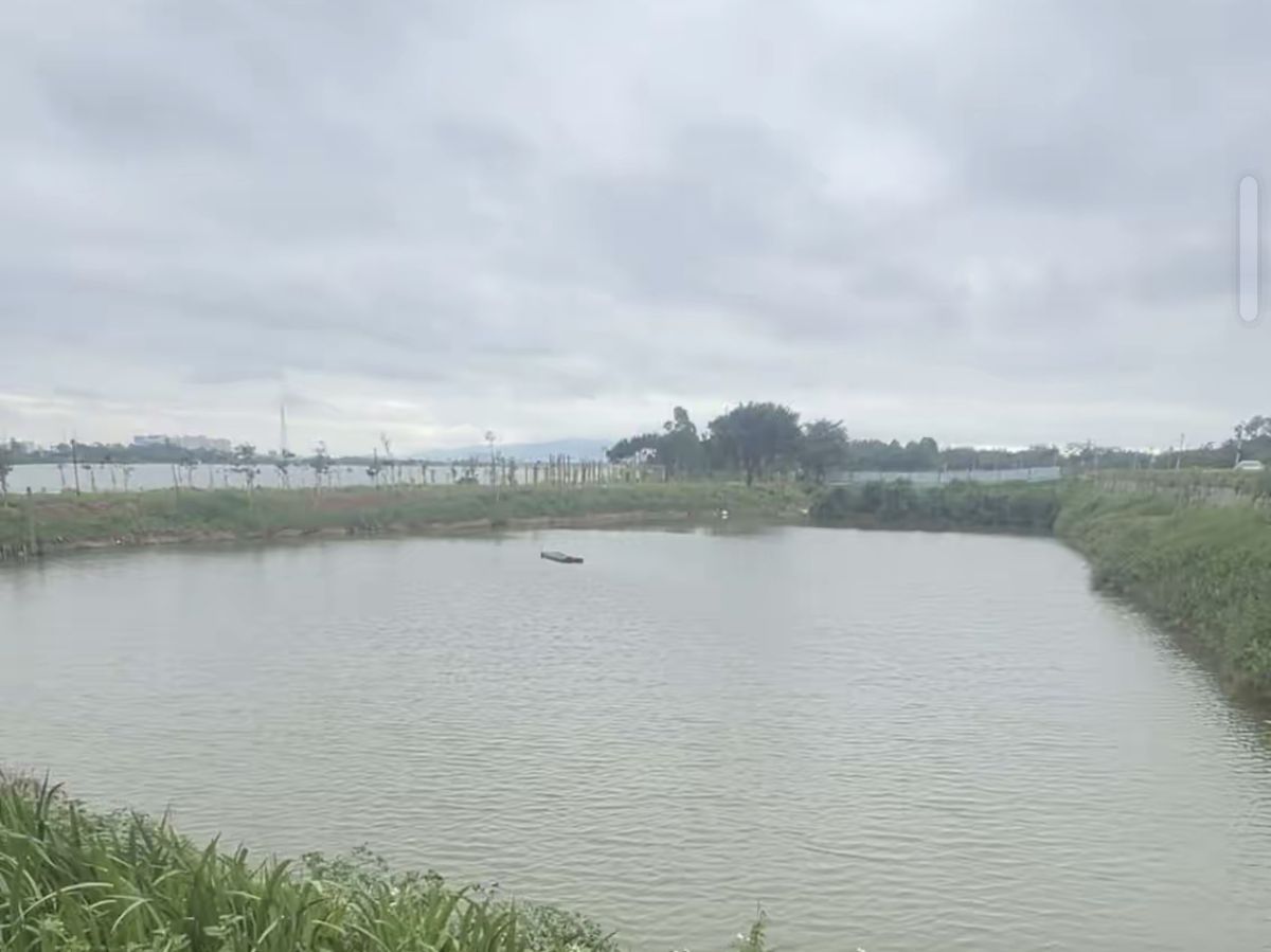澄海滨海生态公园旅行图片 2