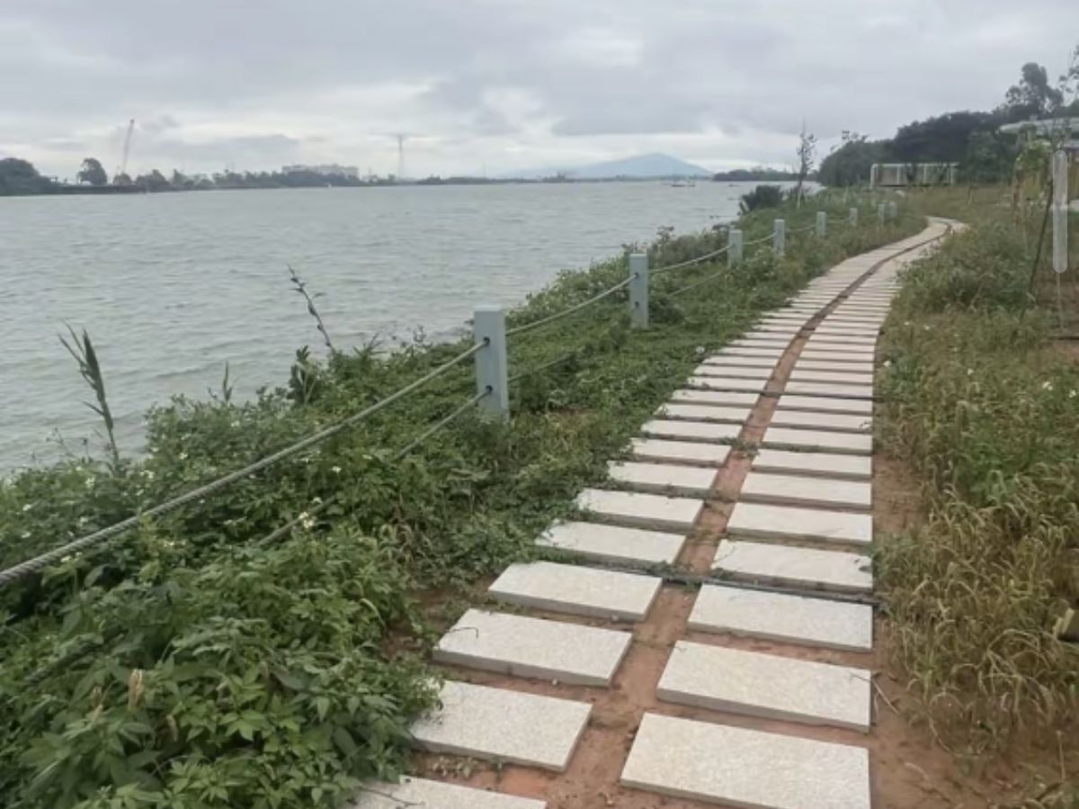 澄海滨海生态公园旅行图片 3