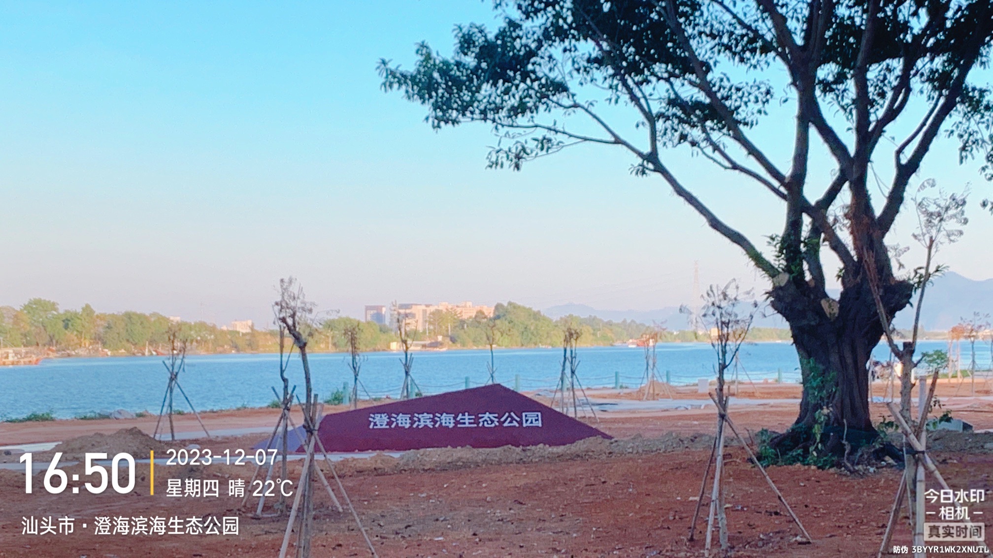 澄海滨海生态公园旅行图片 1