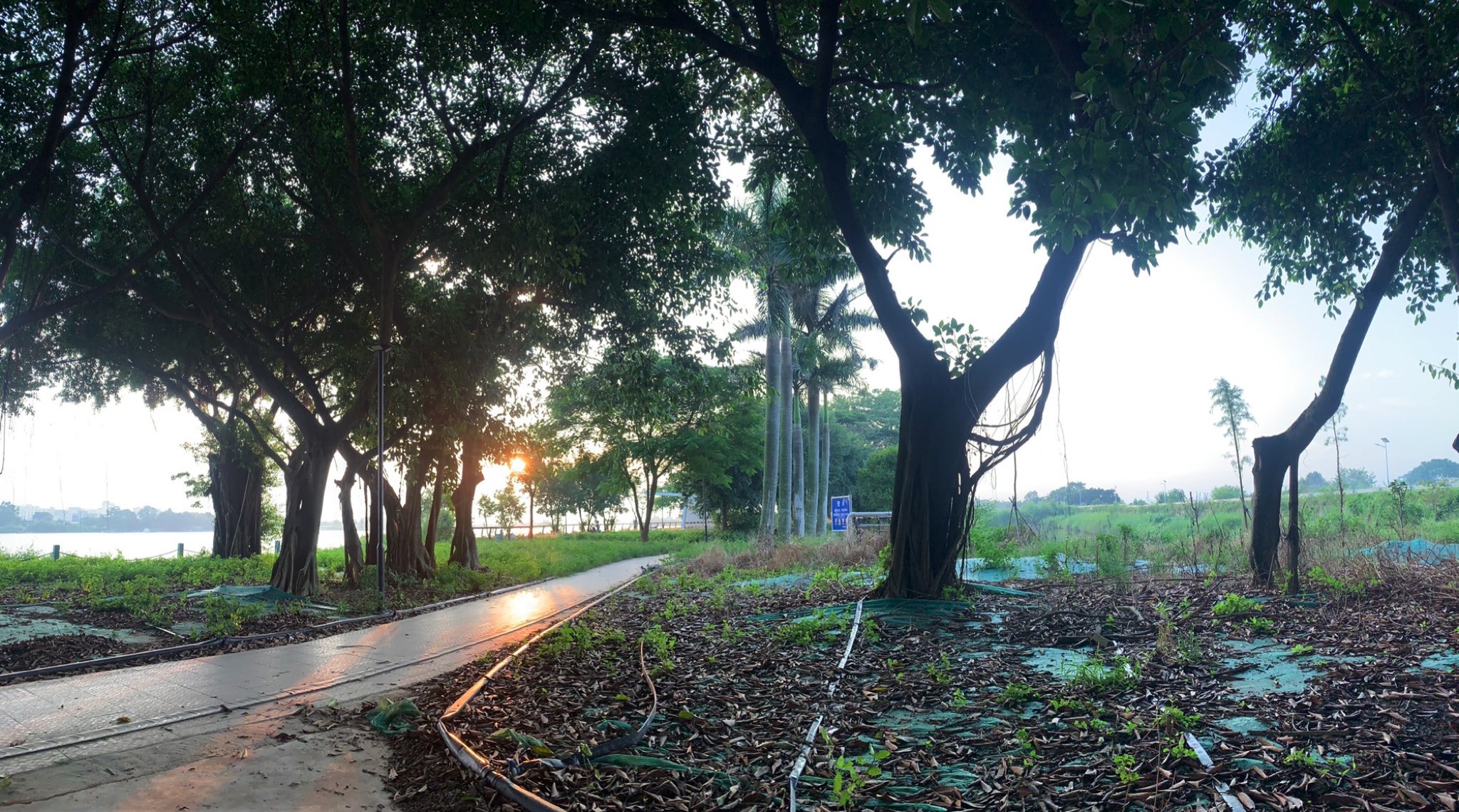 澄海滨海生态公园旅行图片 2