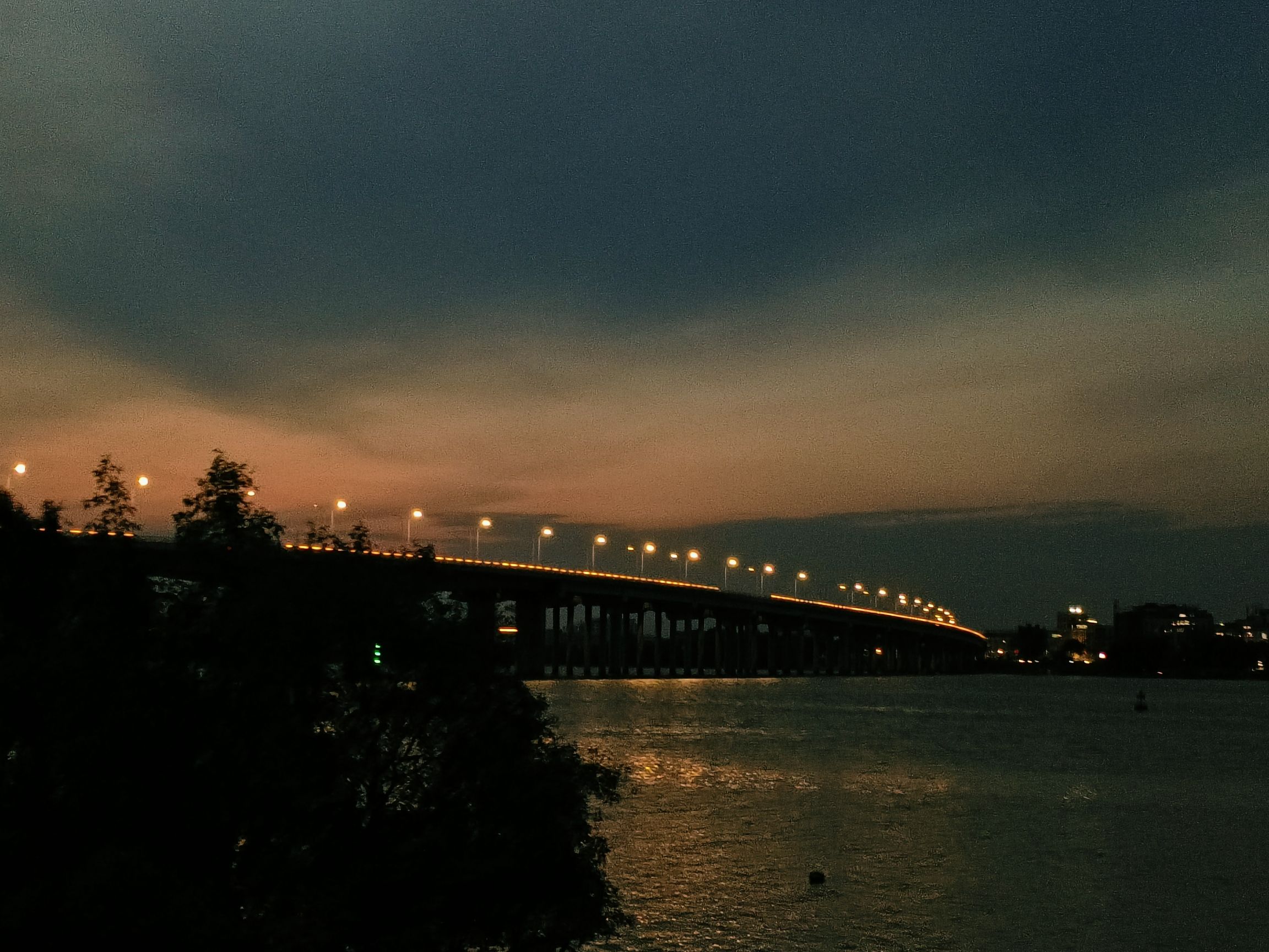澄海滨海生态公园旅行图片 1