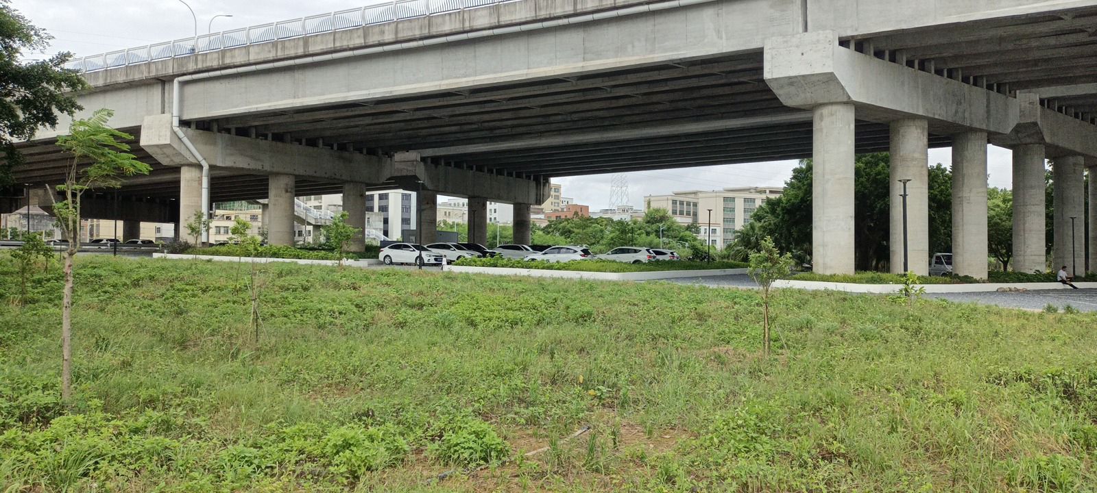 澄海滨海生态公园旅行图片 2