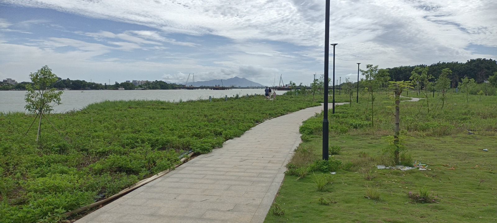 澄海滨海生态公园旅行图片 3