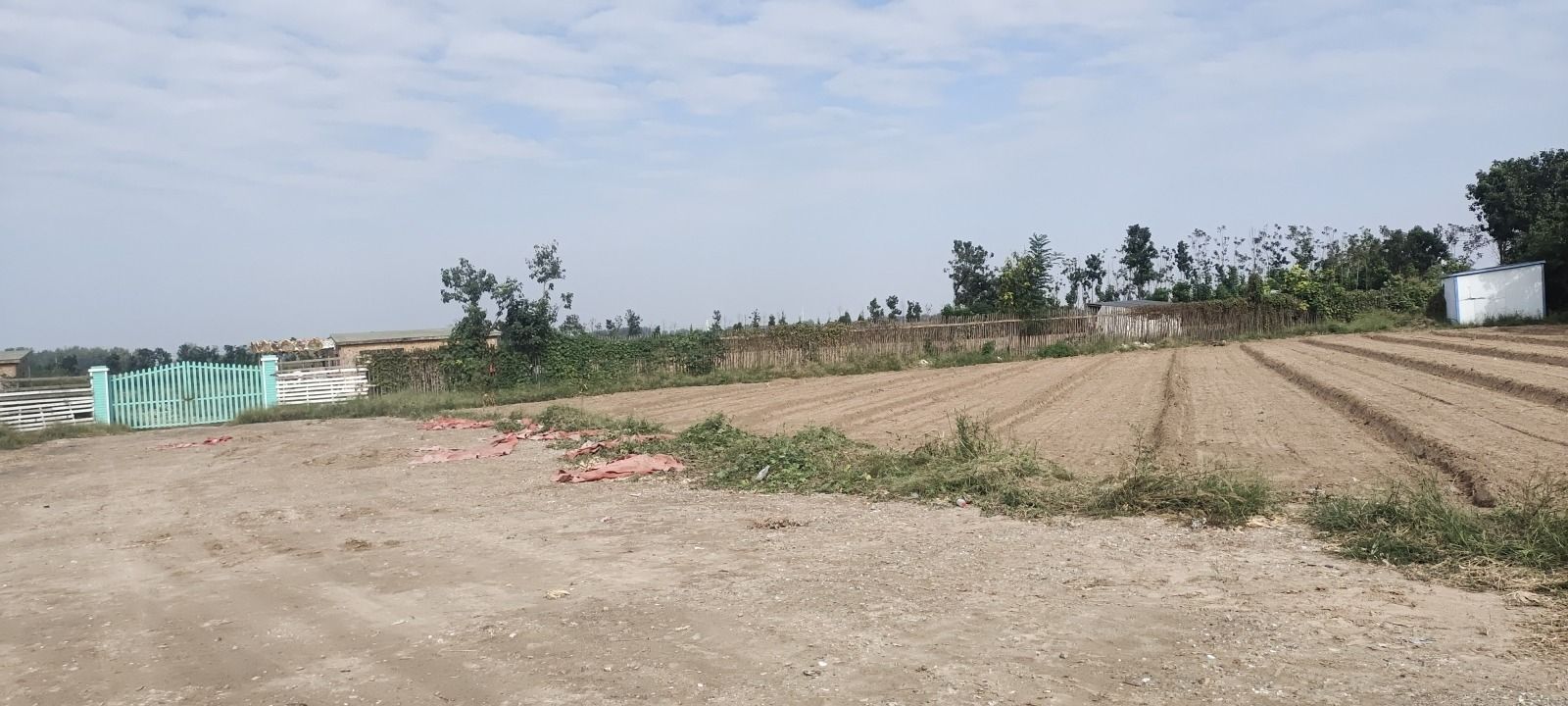 奇妙森林动物王国旅行图片 2