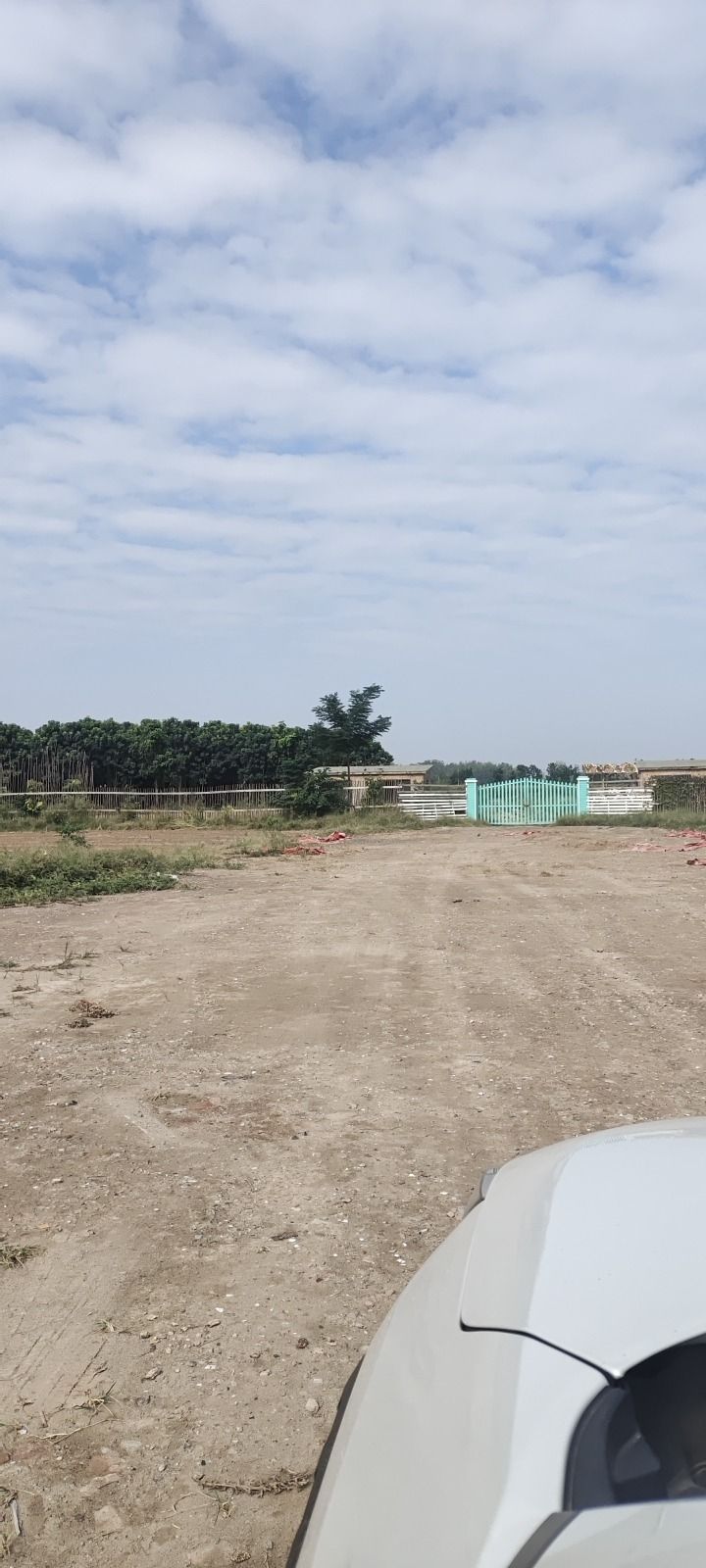 奇妙森林动物王国旅行图片 1