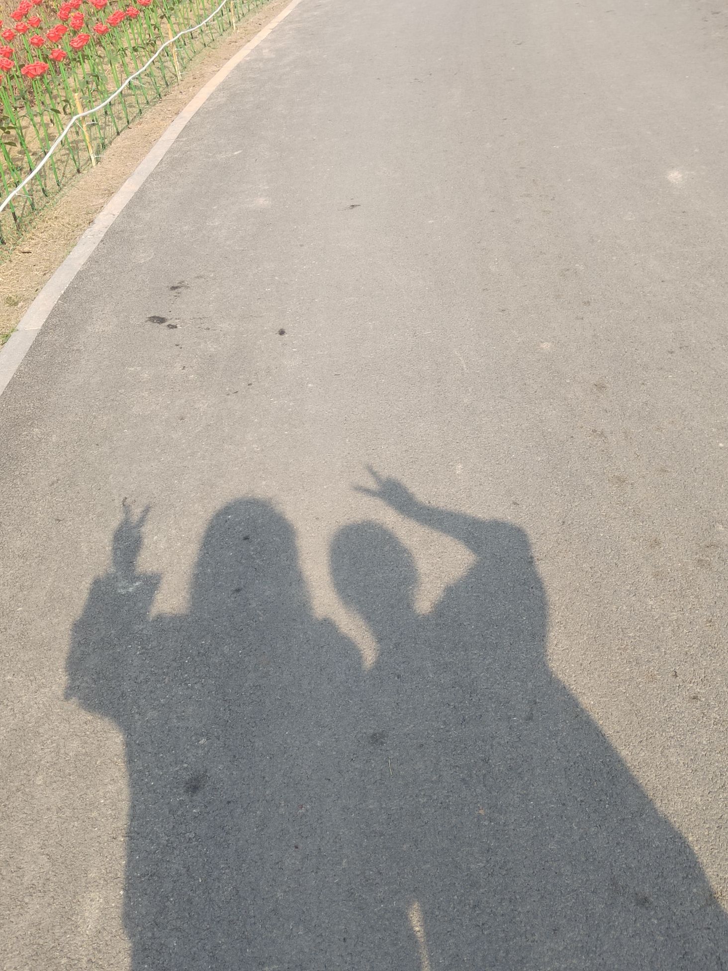太行盆景园旅行图片 2