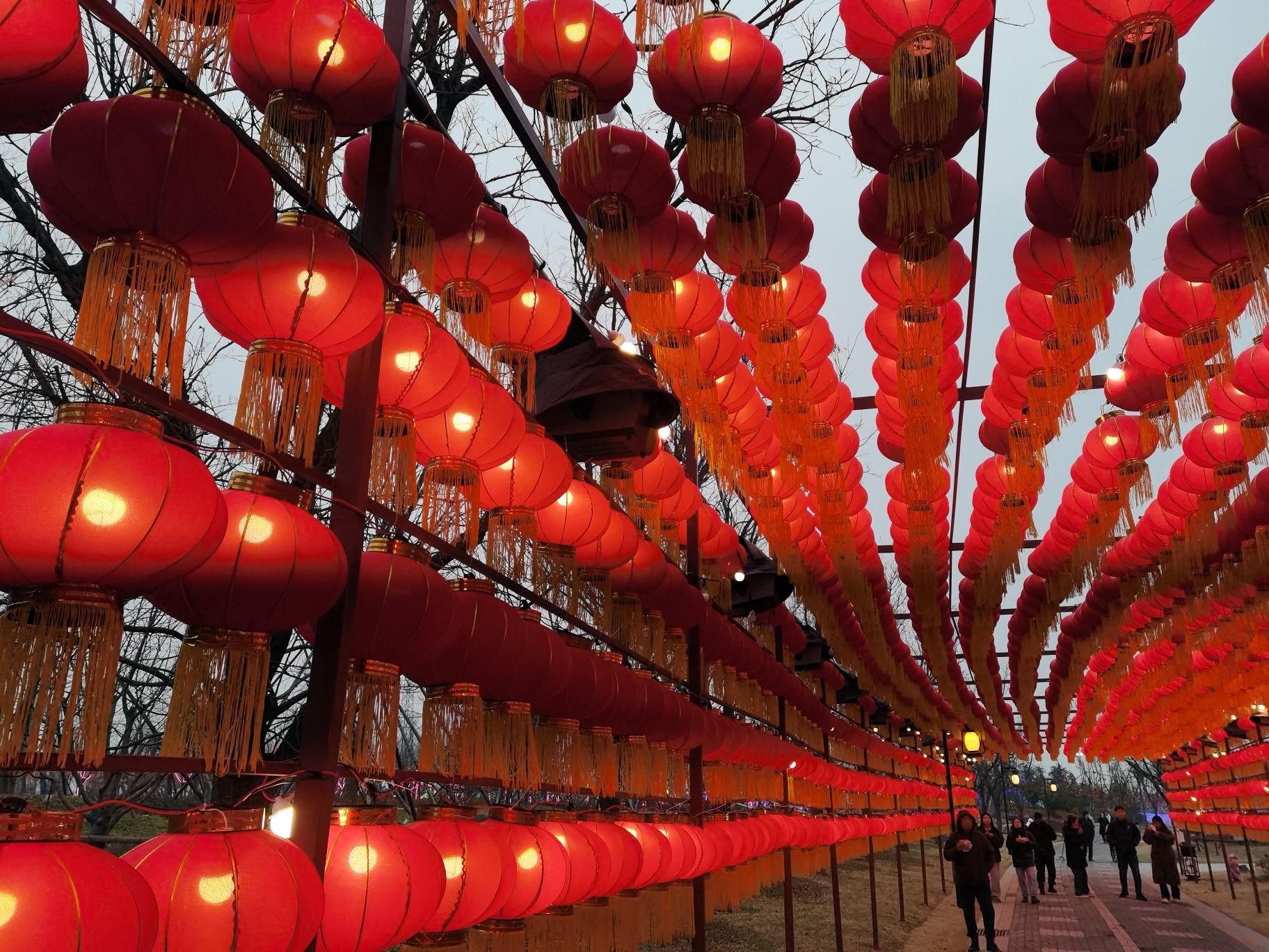 太行盆景园旅行图片 1