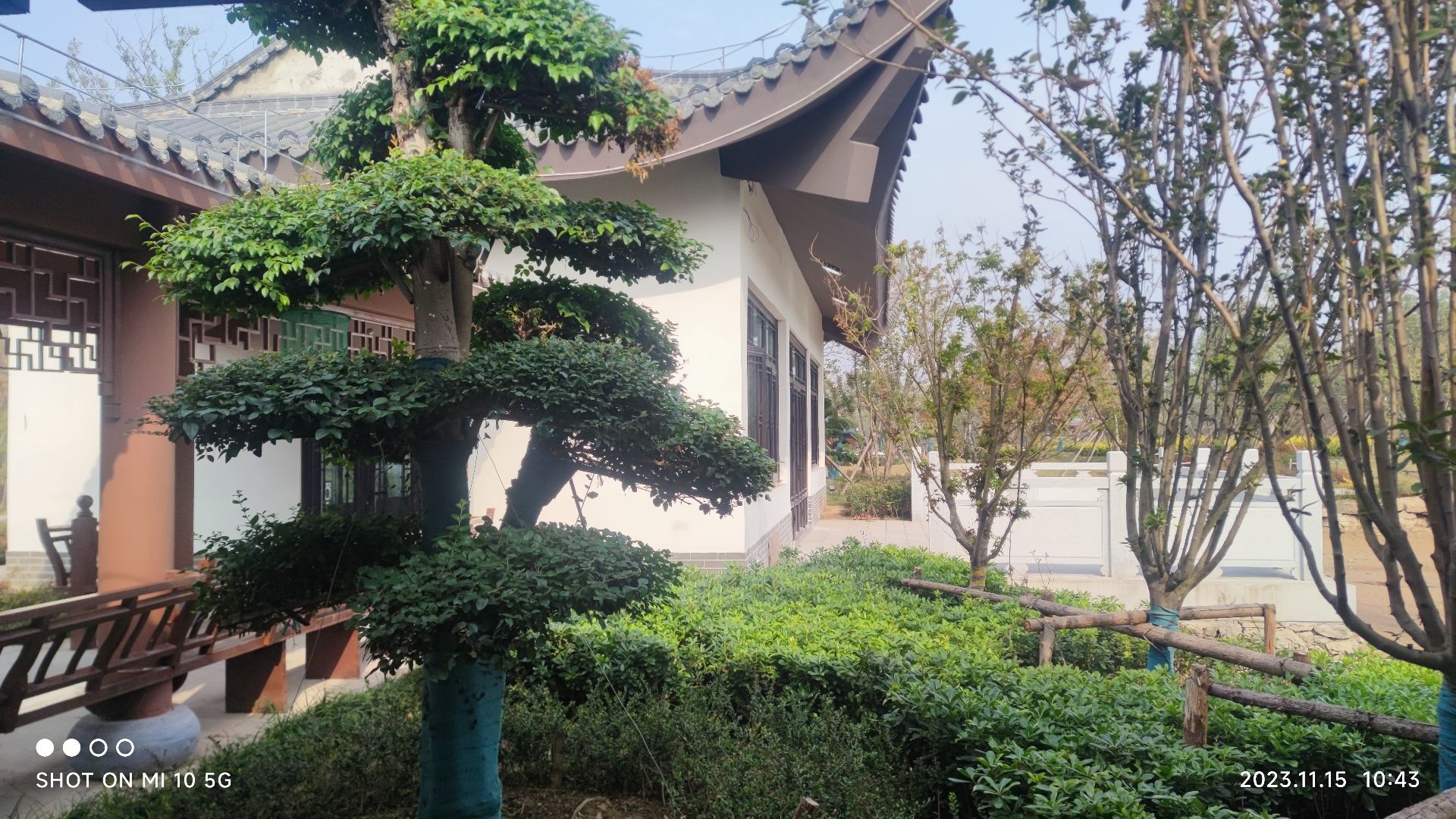 太行盆景园旅行图片 3
