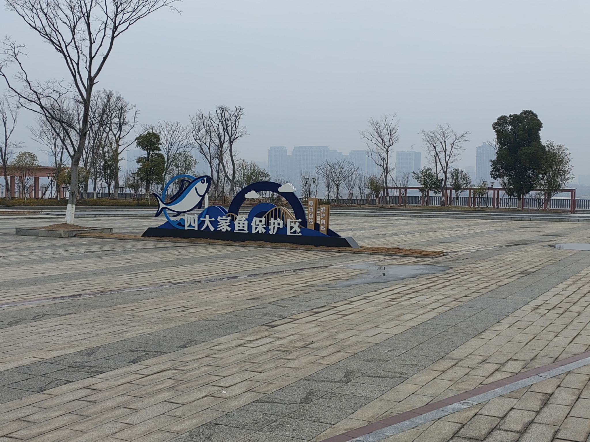 江滩休闲广场旅行图片 1
