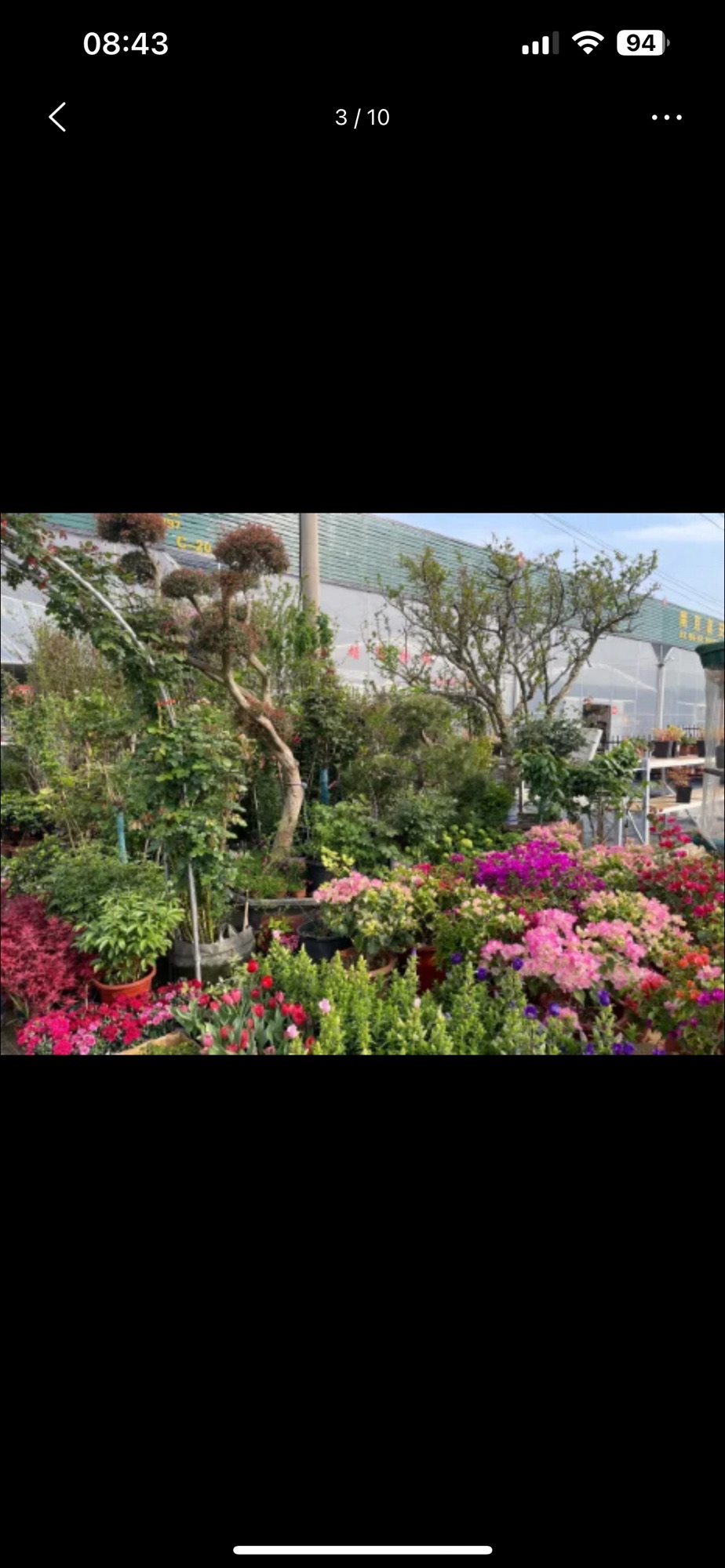 南京汤山花博园旅行图片 3