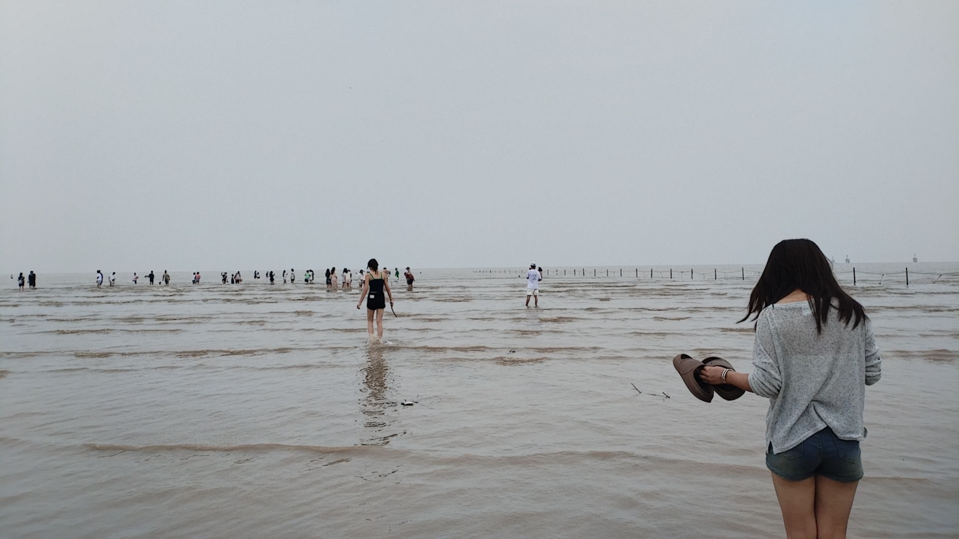 杭州湾贝壳自然保护区人工沙滩旅行图片 2