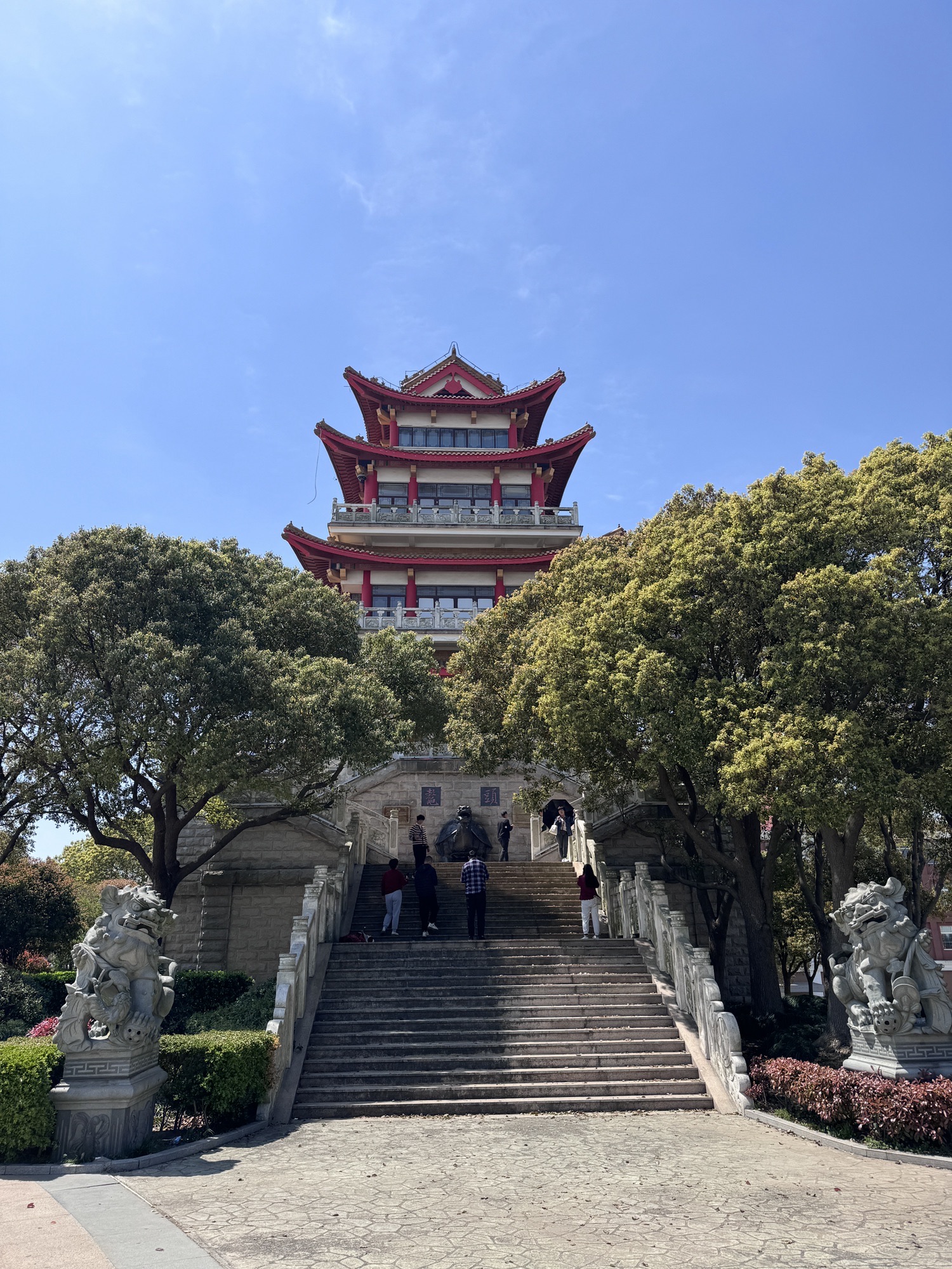 杭州湾贝壳自然保护区人工沙滩旅行图片 2