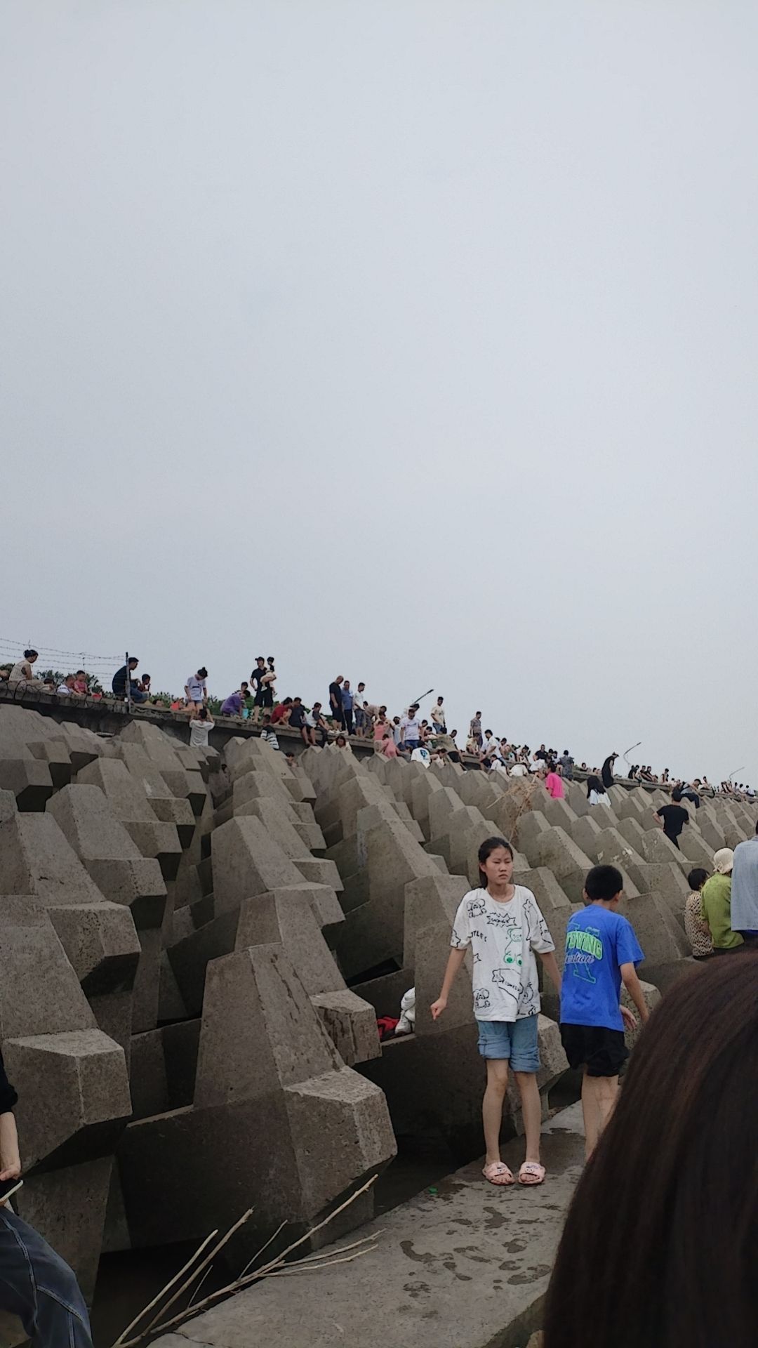 杭州湾贝壳自然保护区人工沙滩旅行图片 3