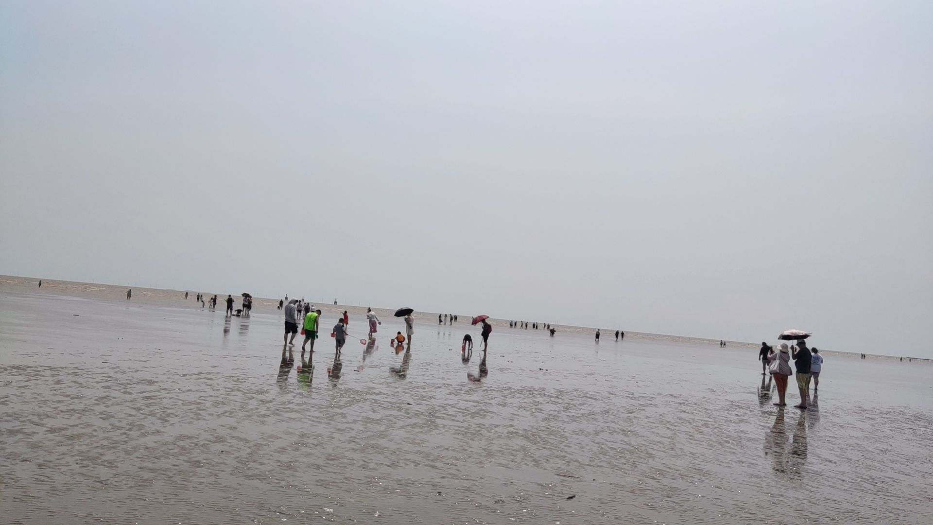 杭州湾贝壳自然保护区人工沙滩旅行图片 2