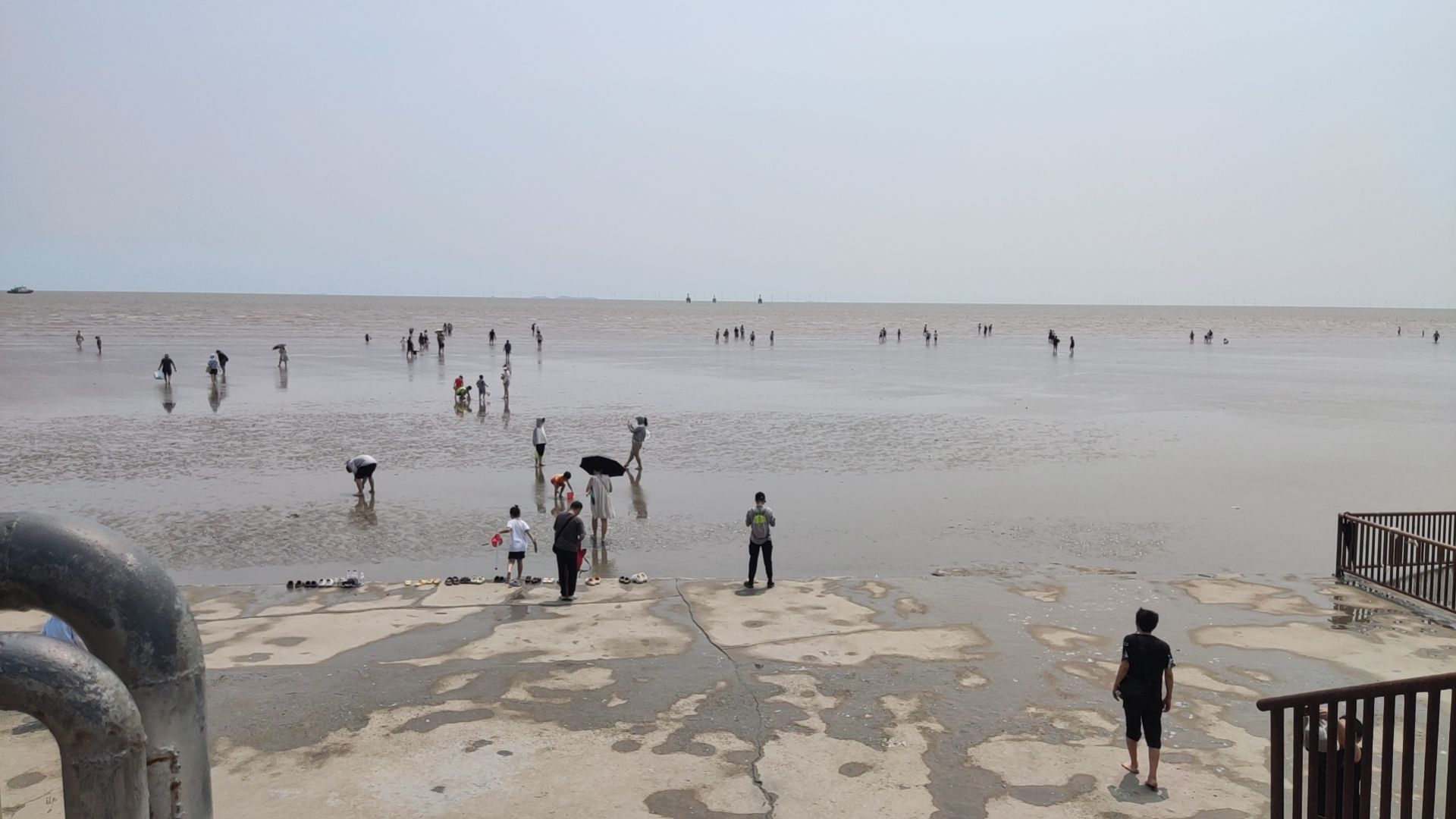 杭州湾贝壳自然保护区人工沙滩旅行图片
