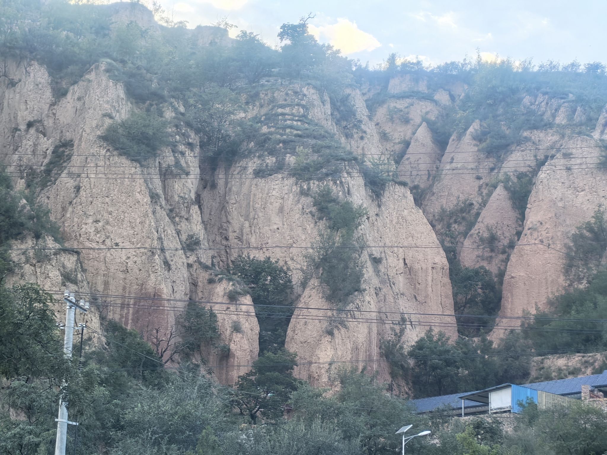 永由古槐旅行图片 2