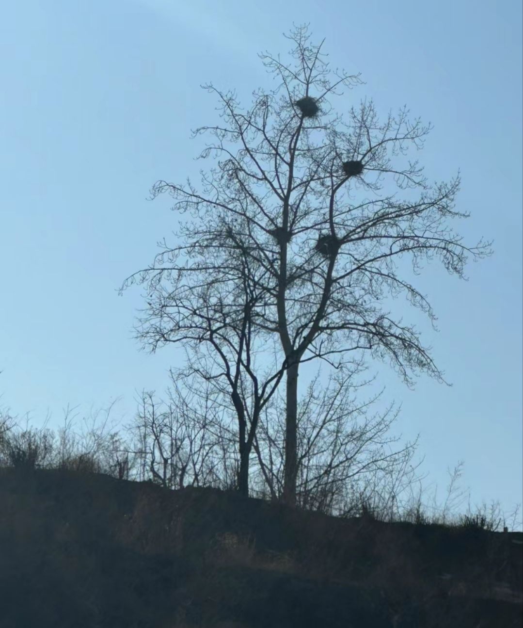 西大洋水库风景区旅行图片 1