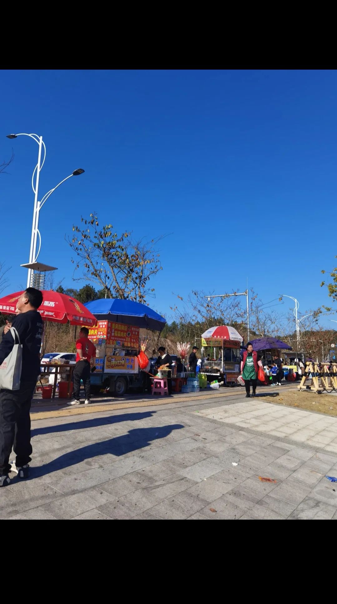 龙归湖生态公园旅行图片 3