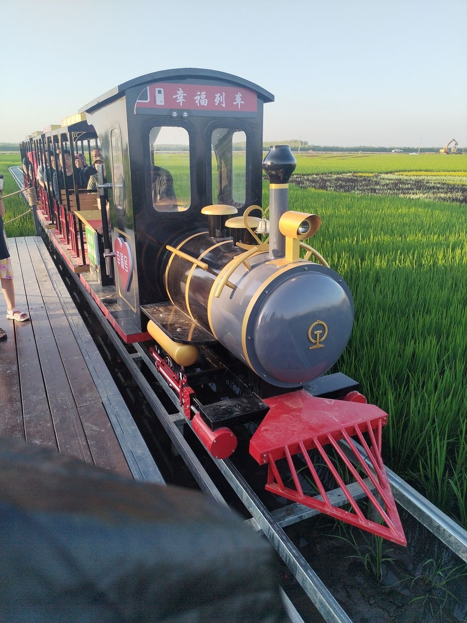 八五八农场千岛林稻田画旅行图片 2